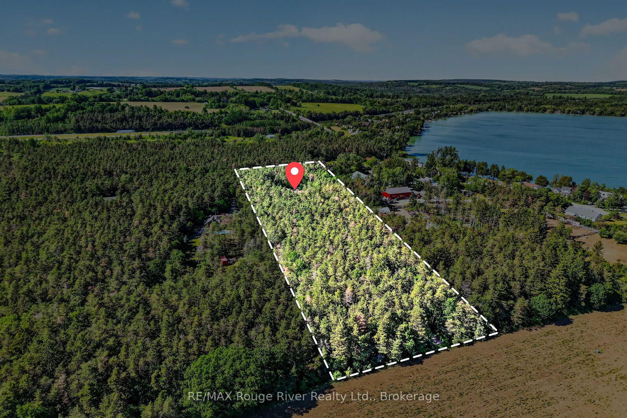 149 Pine Tree Lane, Cramahe, ON K0K 1S0 photo 5