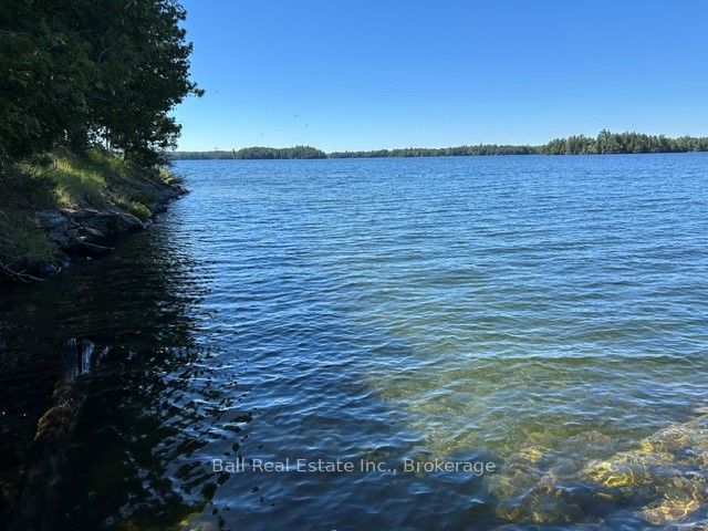 79 Fire Route 89D N/A, North Kawartha, ON K0L 3E0 photo 5