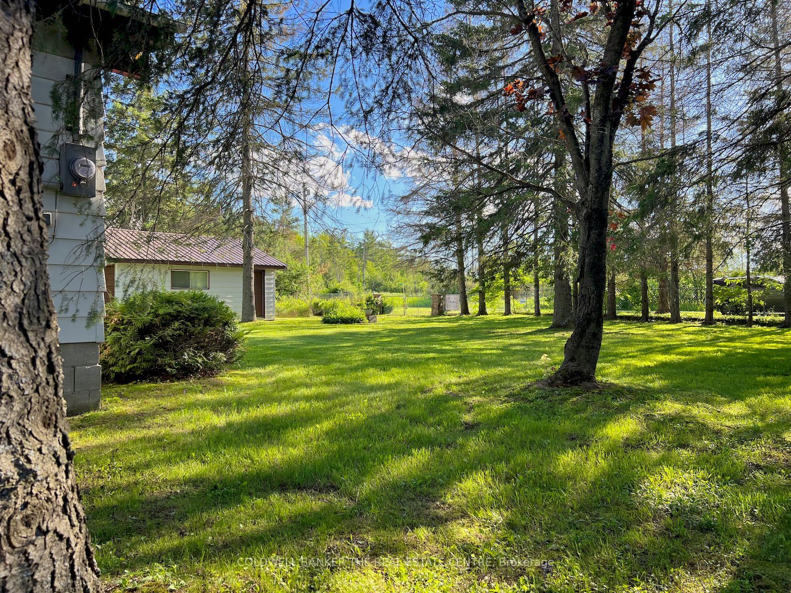72 West Bay Boulevard, Kawartha Lakes, ON K0M 2B0 photo 5