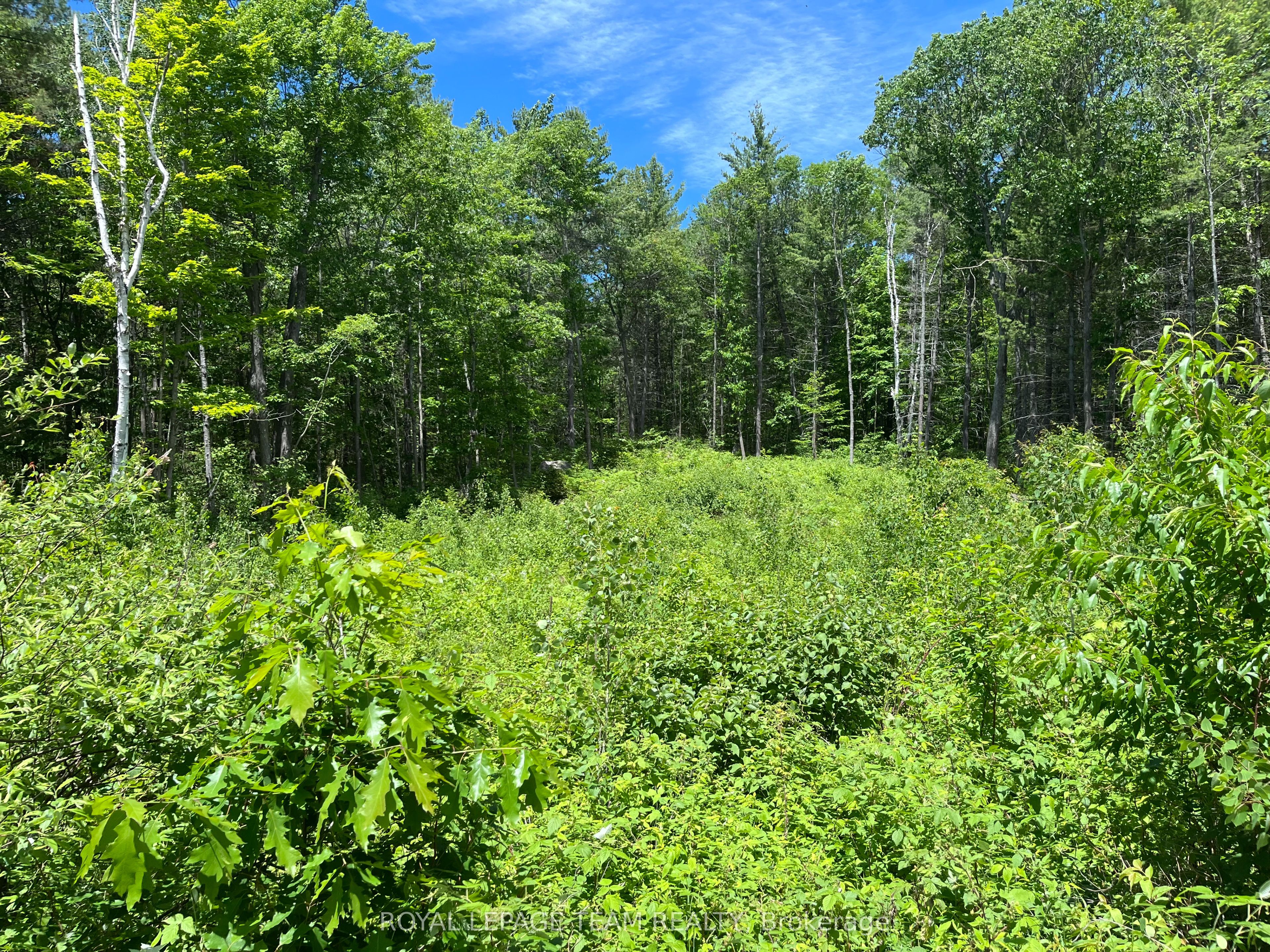 695 Long Lake Road, Madawaska Valley, ON K0J 1B0 photo 3