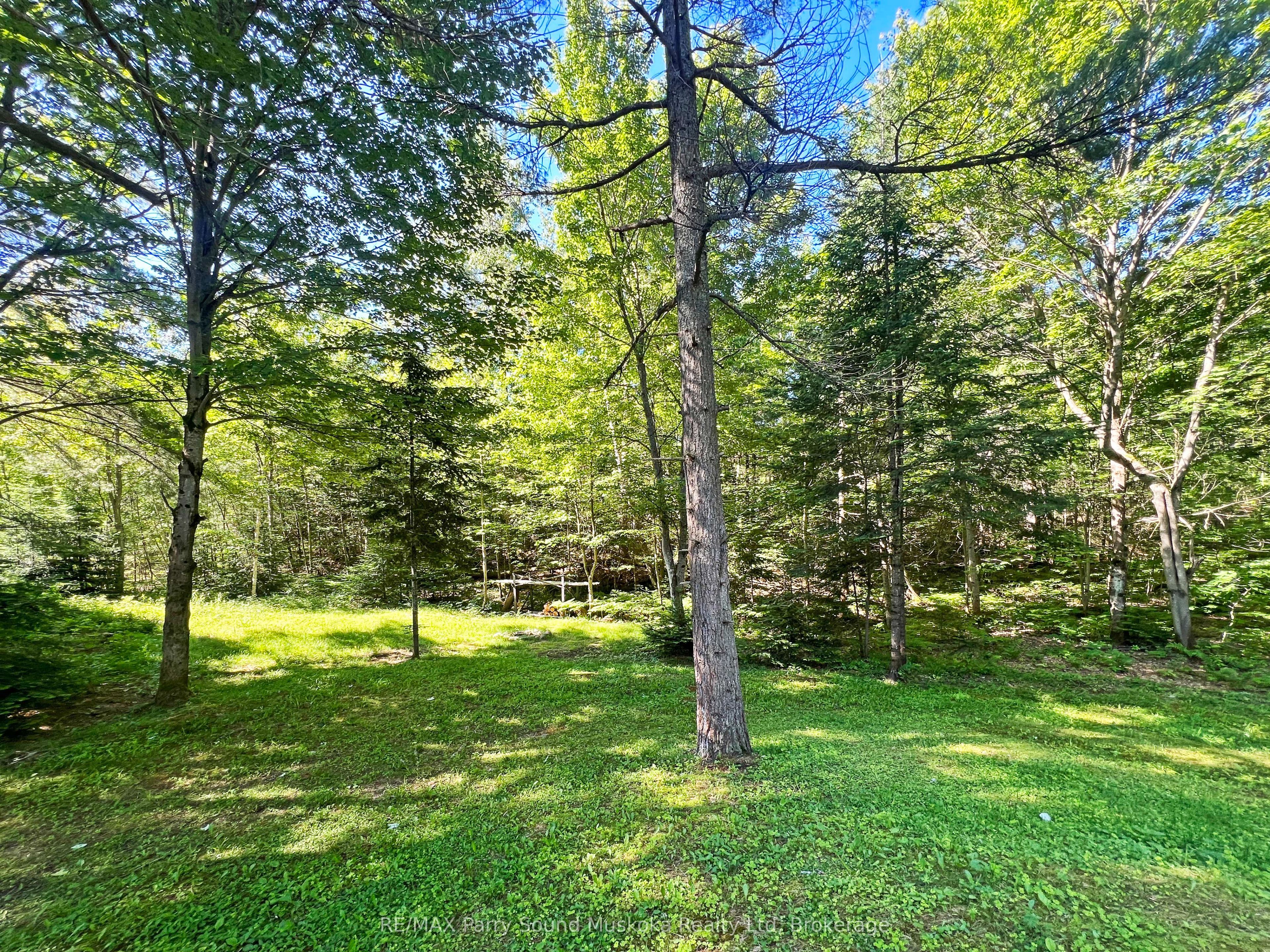 40 Beaver Trail, McDougall, ON P2A 2W7 photo 5