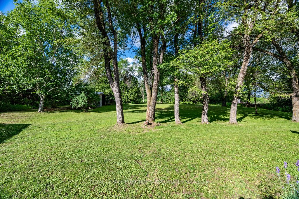 18115 Highway 17 Highway, Whitewater Region, ON K0J 1K0 photo 5