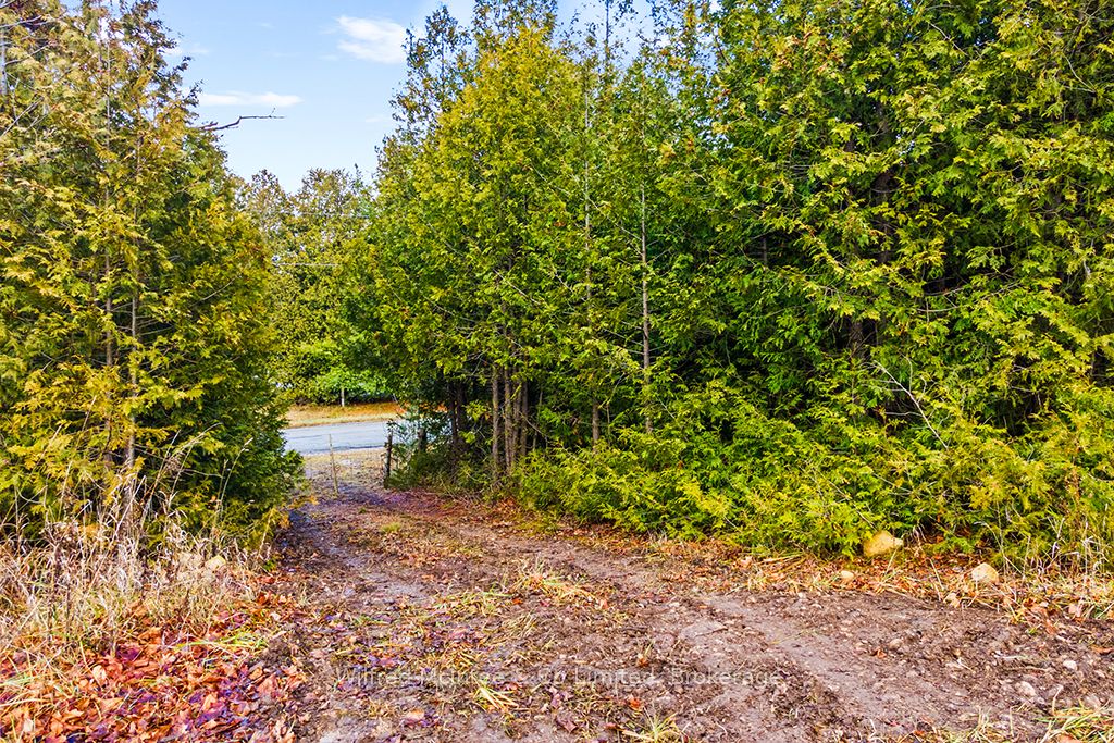 PtLt 16 5 Side Road Part 2 16R6350, Chatsworth, ON N0H 1G0 photo 3