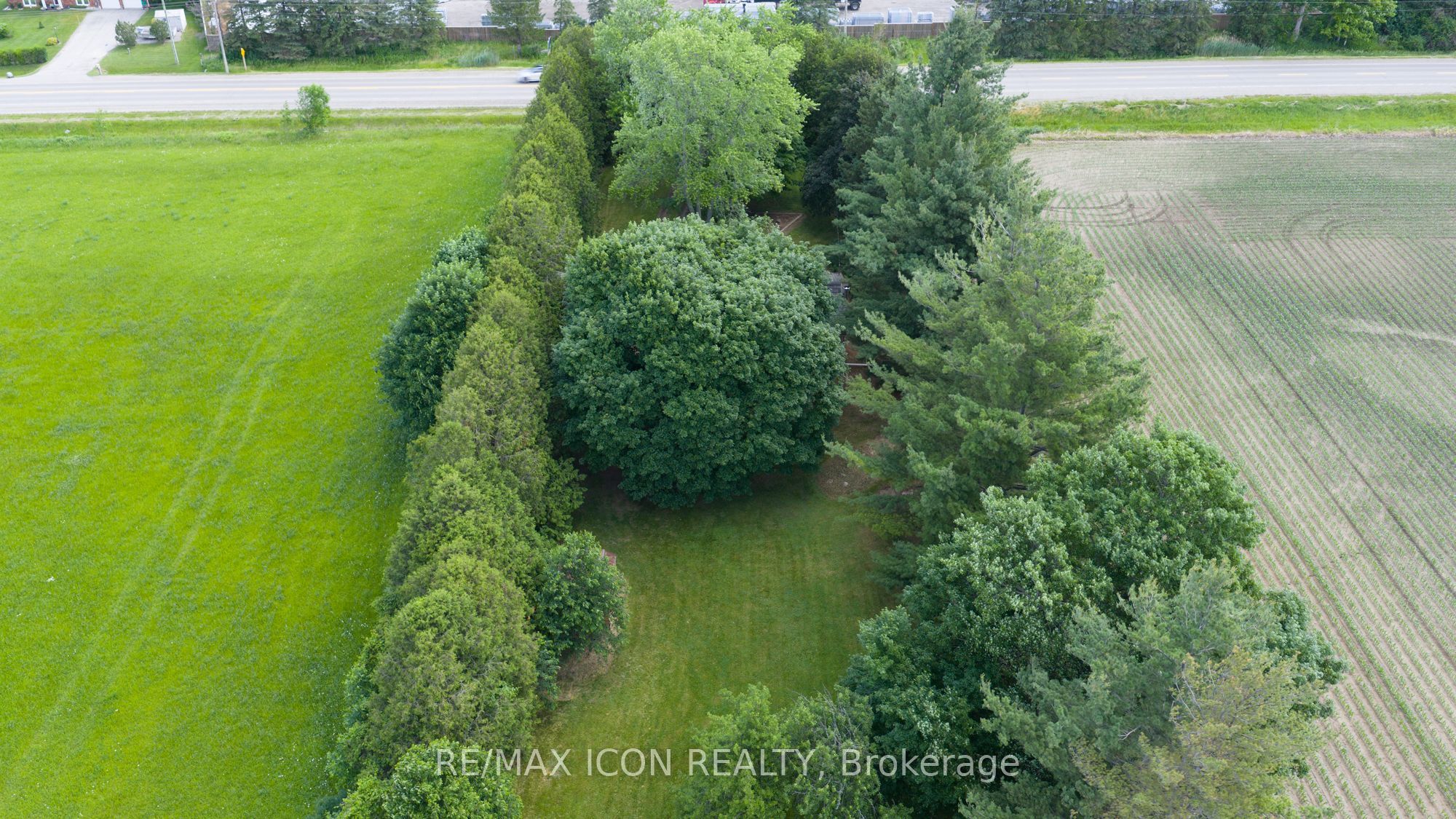 23163 Nairn Road, Middlesex Centre, ON N0L 1R0 photo 4