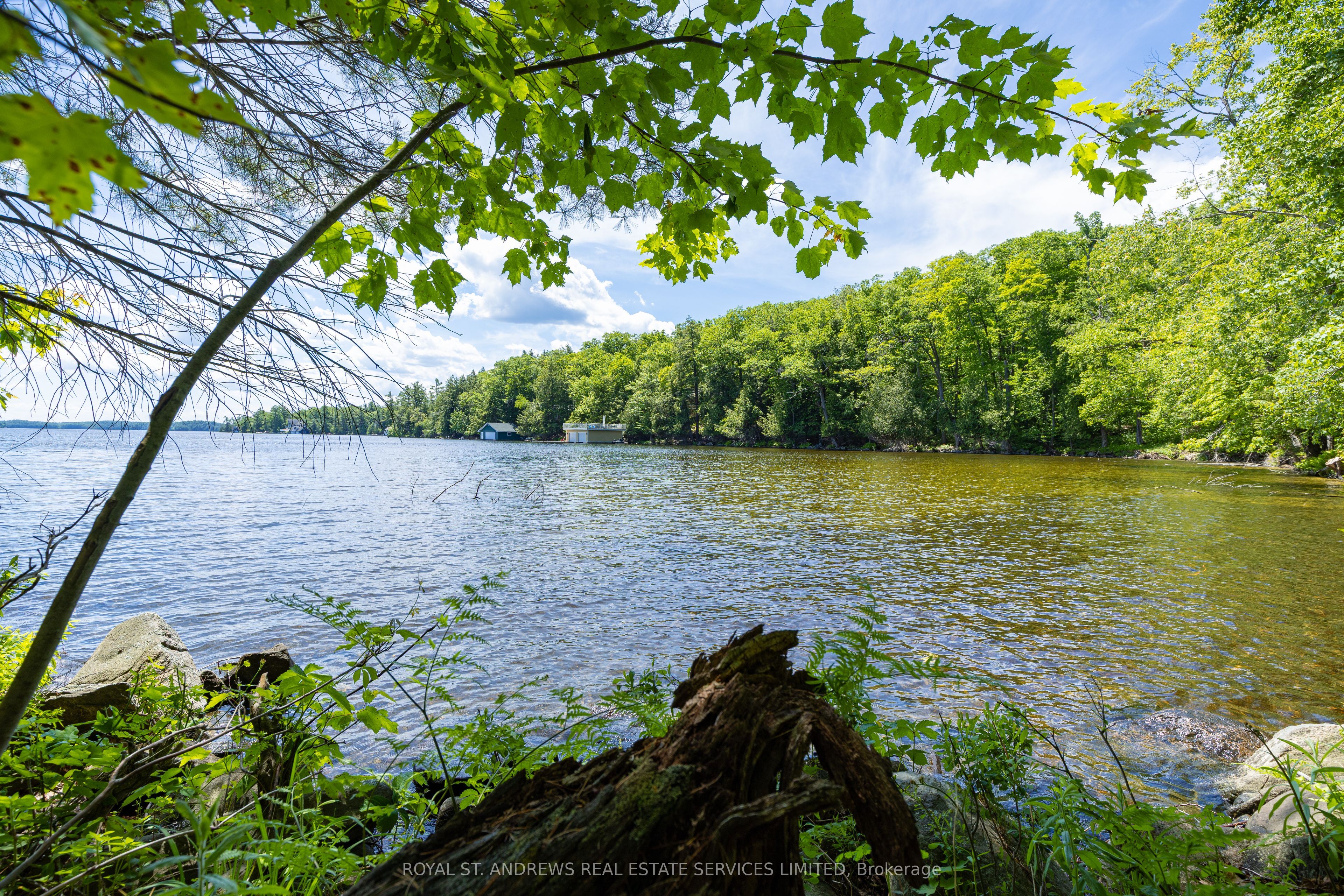 1815 MP and 1014 PV Mortimer's Point and Pleasant View Point Road, Muskoka Lakes, ON P0B 1J0 photo 3