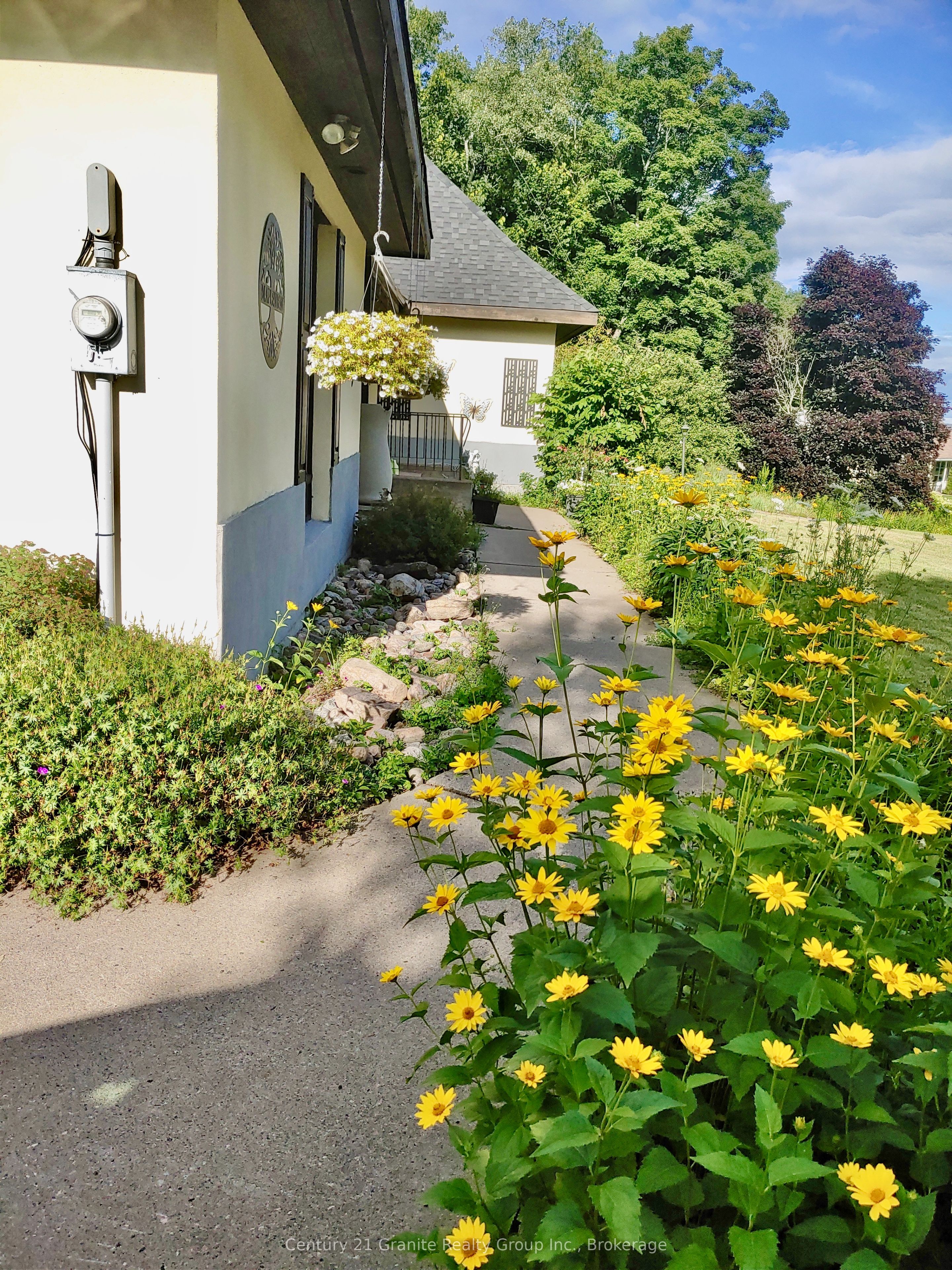 41 Maple Street, Bancroft, ON K0L 1C0 photo 5