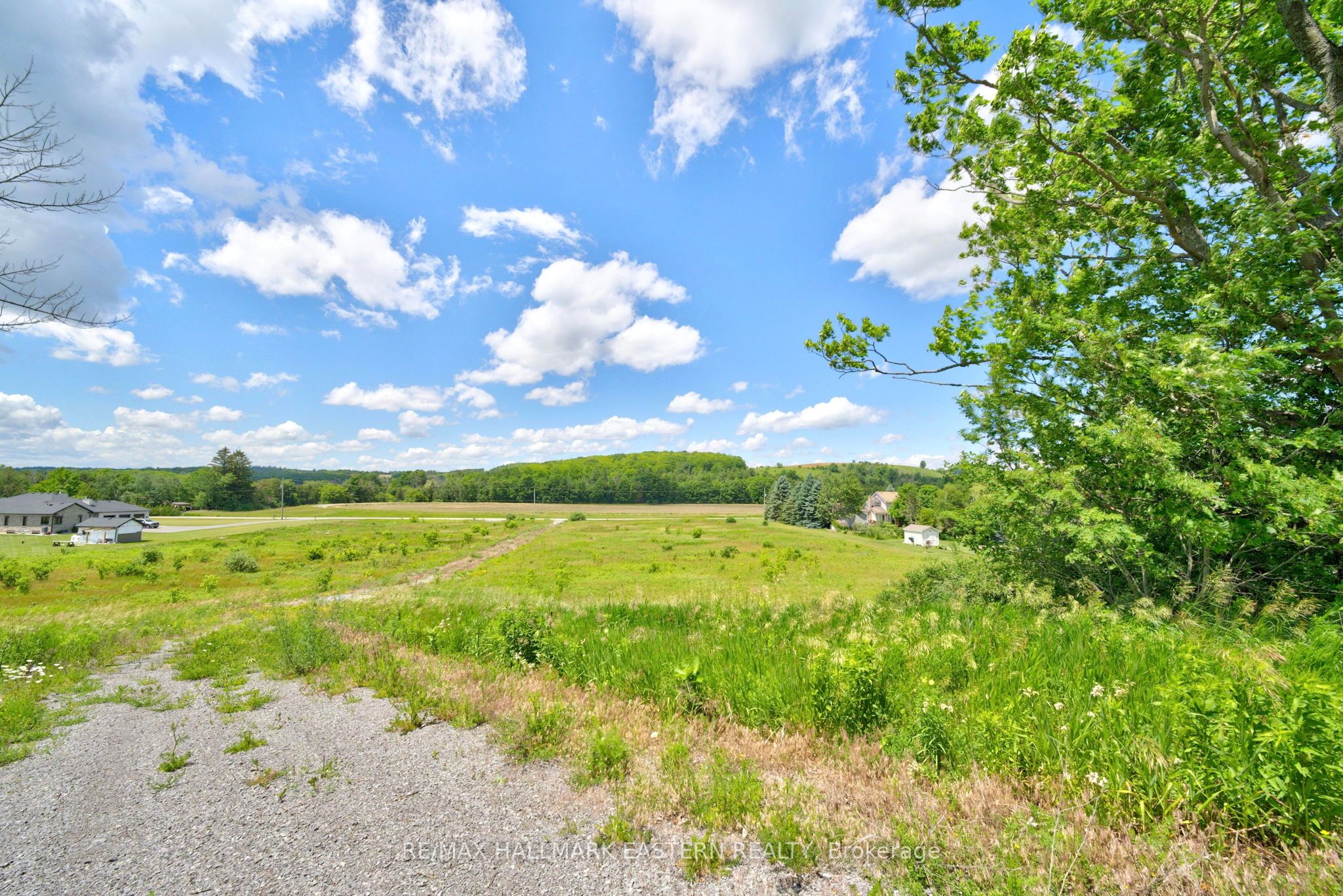 9179 Racetrack Road, Hamilton Township, ON K9A 4J9 photo 3
