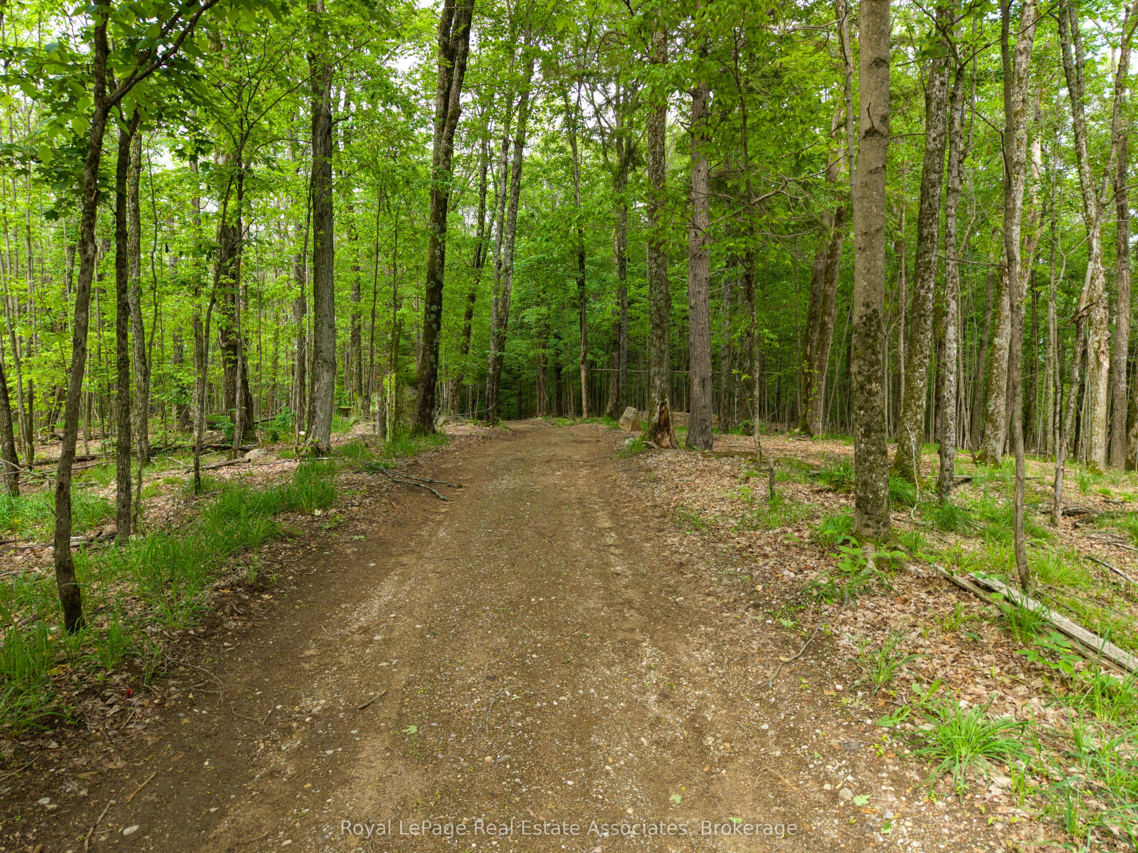 5301 Hwy 620 Highway, Wollaston, ON K0L 1P0 photo 2