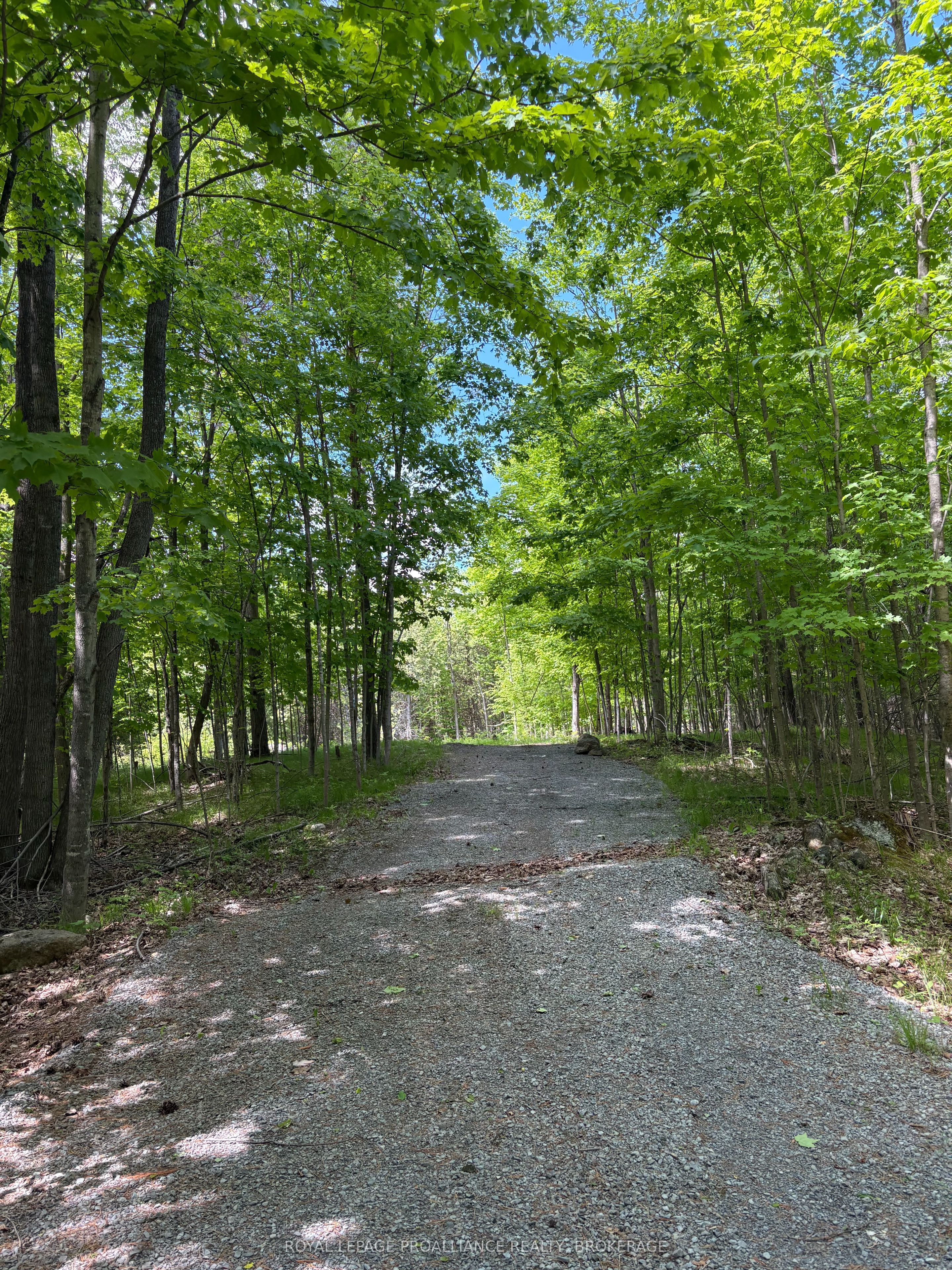 2220 Silver Rock Lane, Frontenac, ON K0H 1W0 photo 3