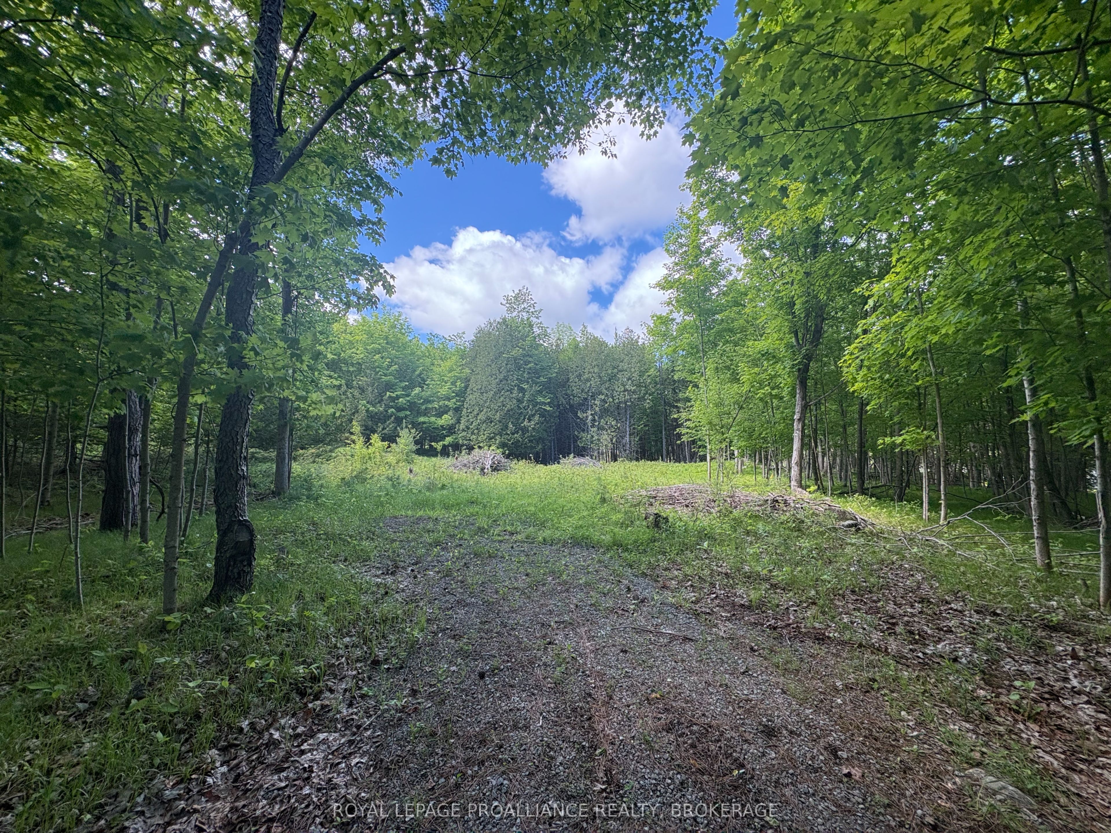 2220 Silver Rock Lane, Frontenac, ON K0H 1W0 photo 4