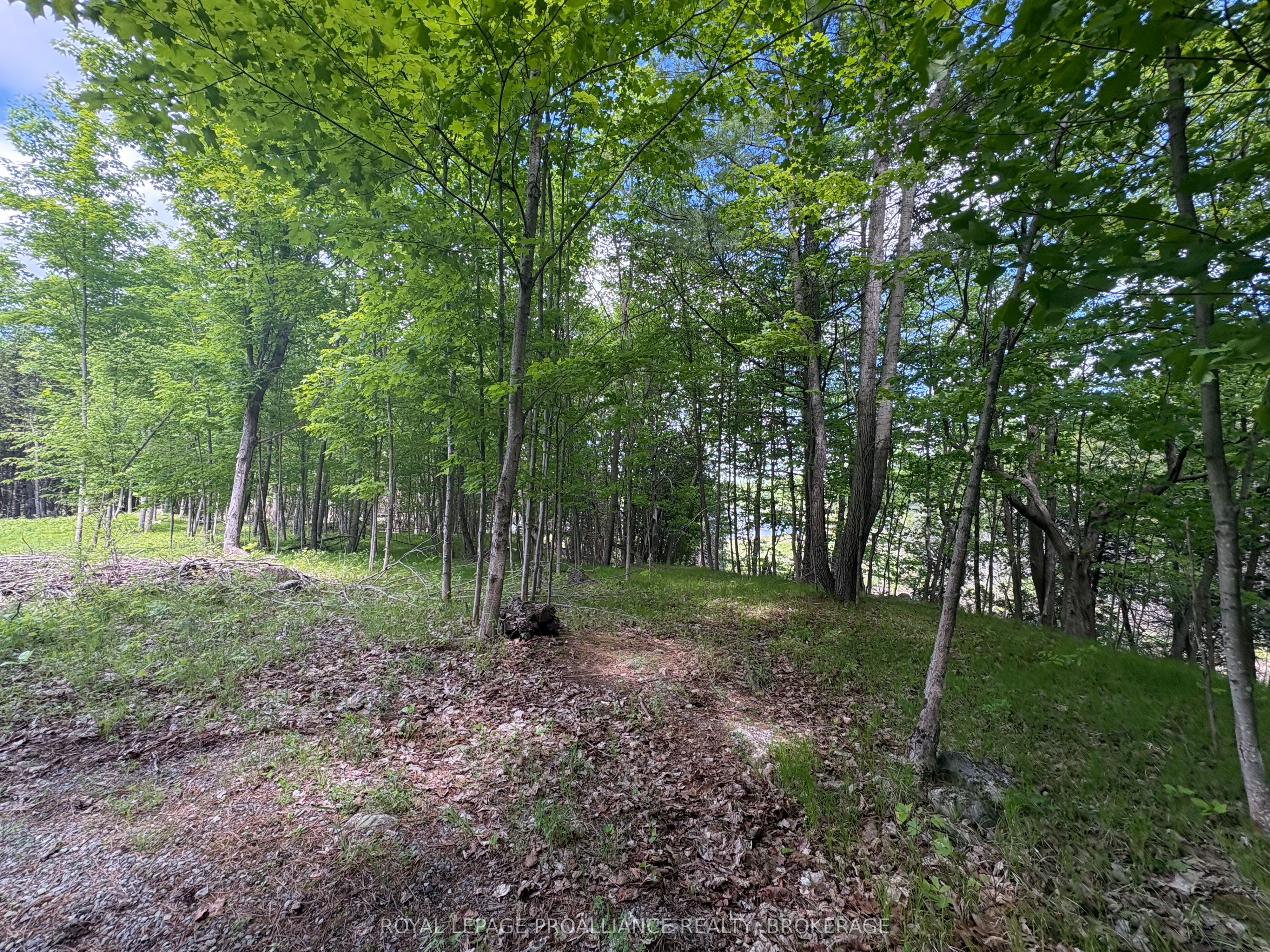 2220 Silver Rock Lane, Frontenac, ON K0H 1W0 photo 5