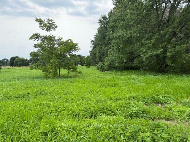 0 MERWIN Lane, Prescott, ON K0E 1T0 photo 5