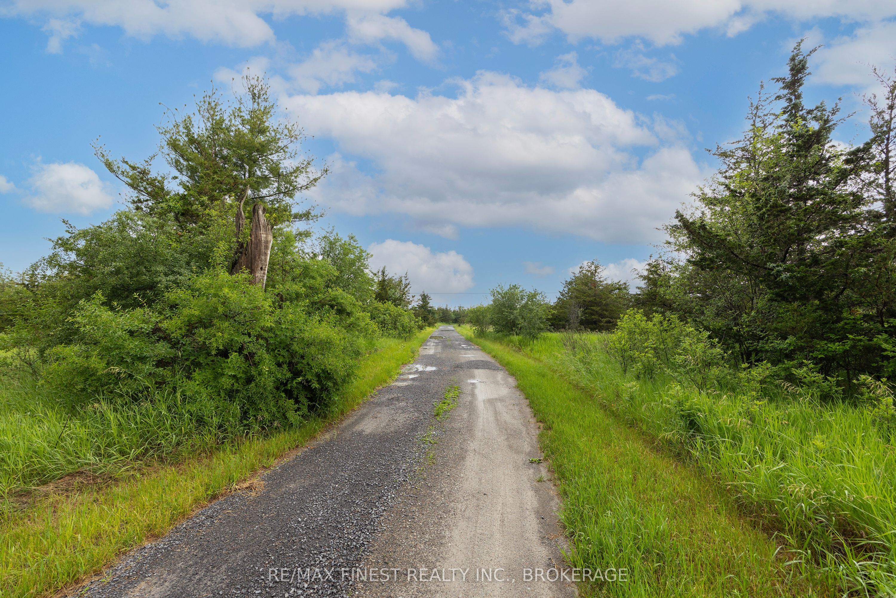 697 Hinch Road, Stone Mills, ON K0K 2S0 photo 5