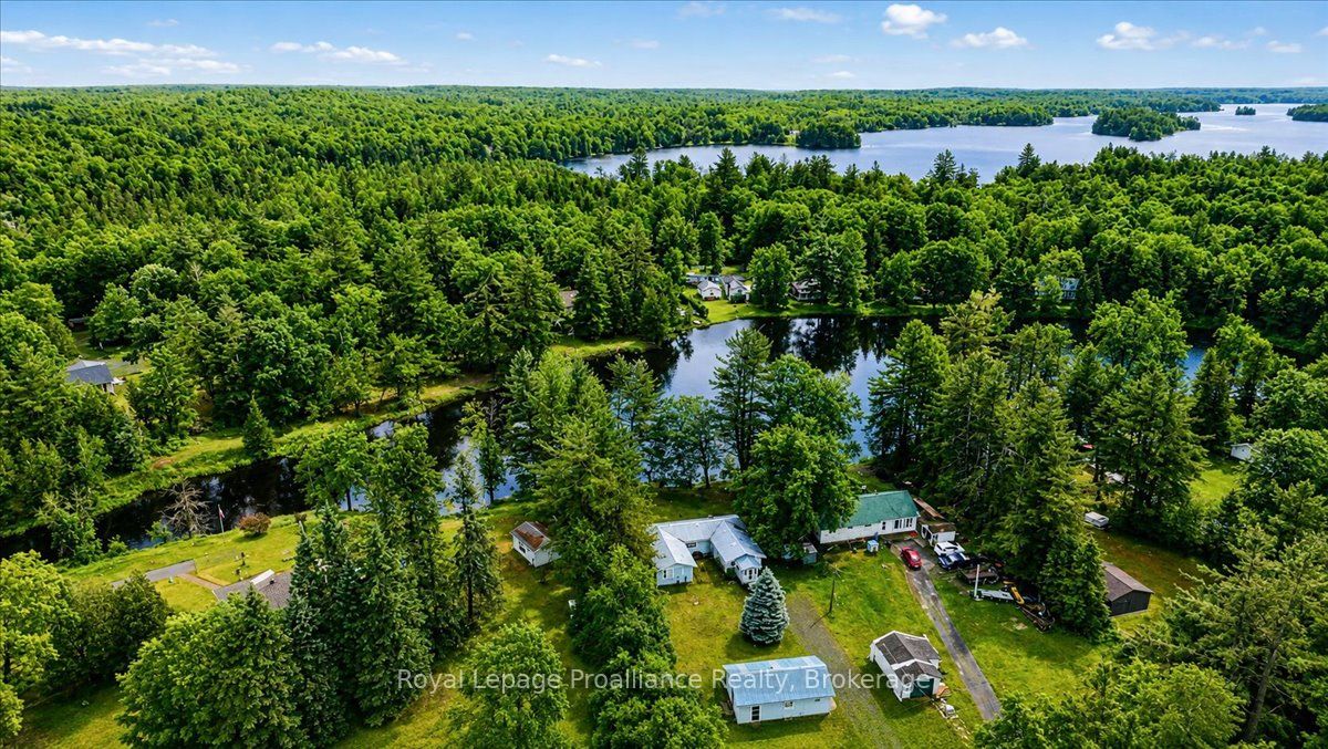 1217 Preston Road, Havelock-Belmont-Methuen, ON K0L 1Z0 photo 5
