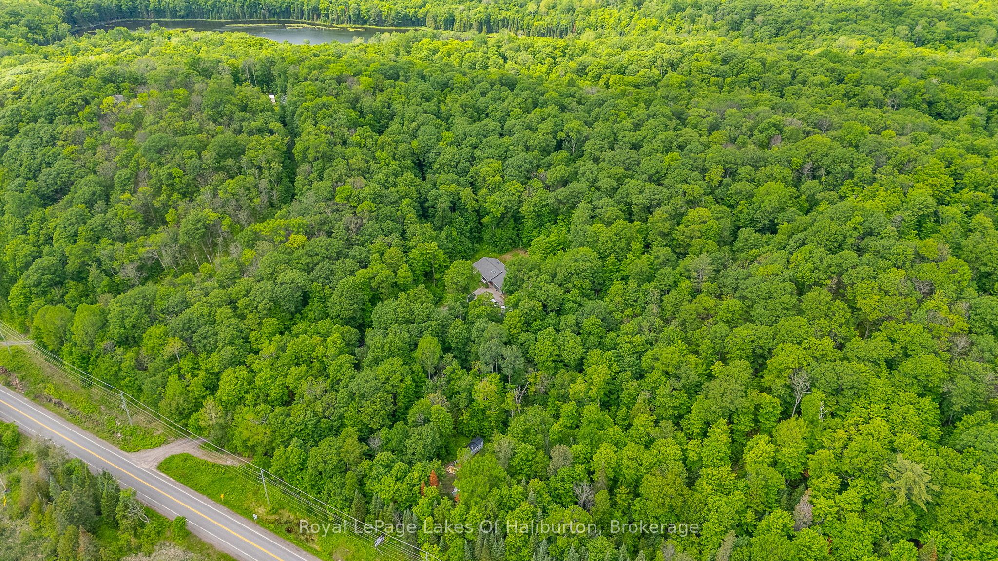 16741 Highway 118, Dysart et al, ON K0M 1S0 photo 5