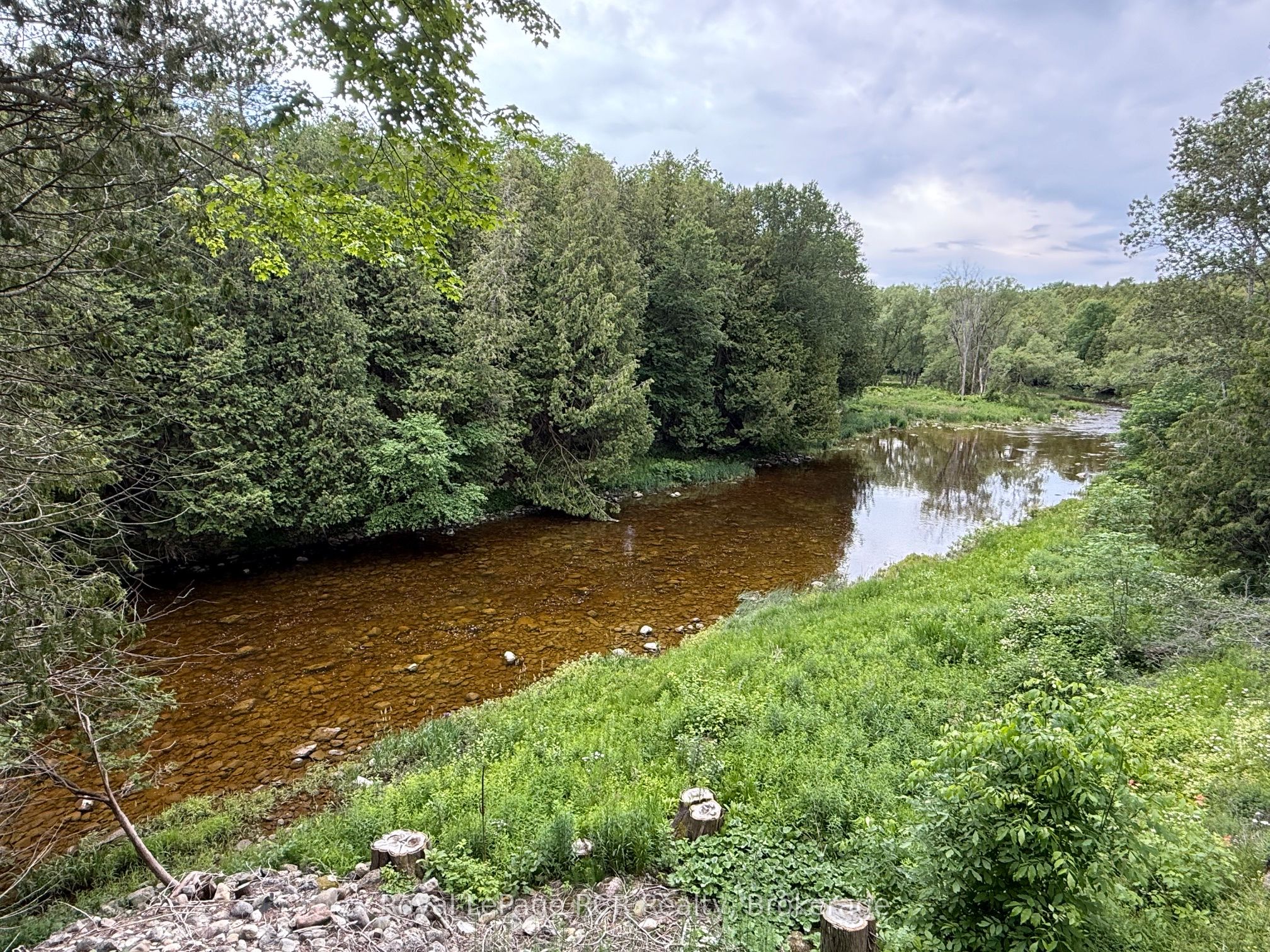 384275 Concession 4, West Grey, ON N0C 1K0 photo 4