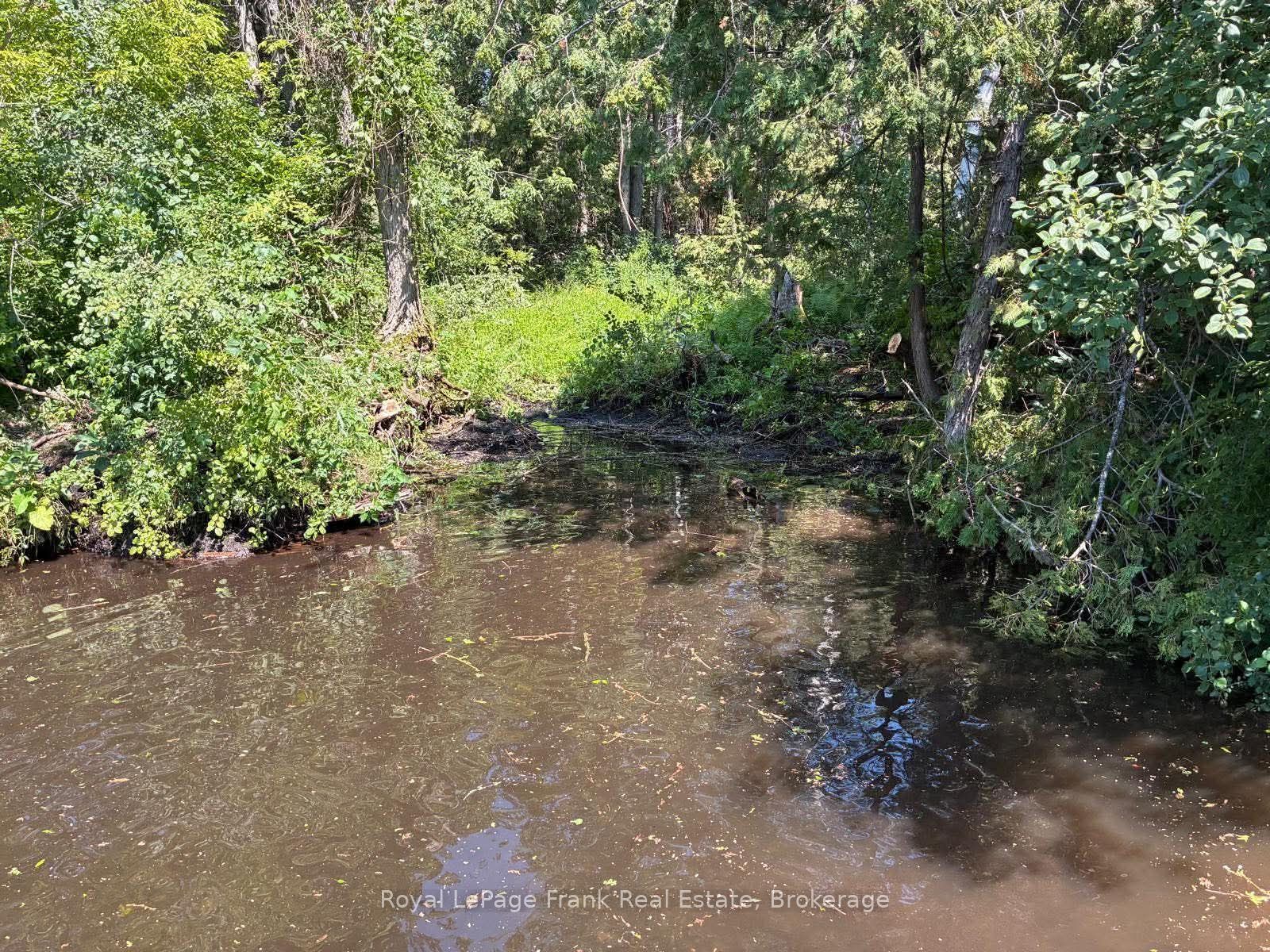 0 Balsam Lake Drive, Kawartha Lakes, ON K0M 2B0