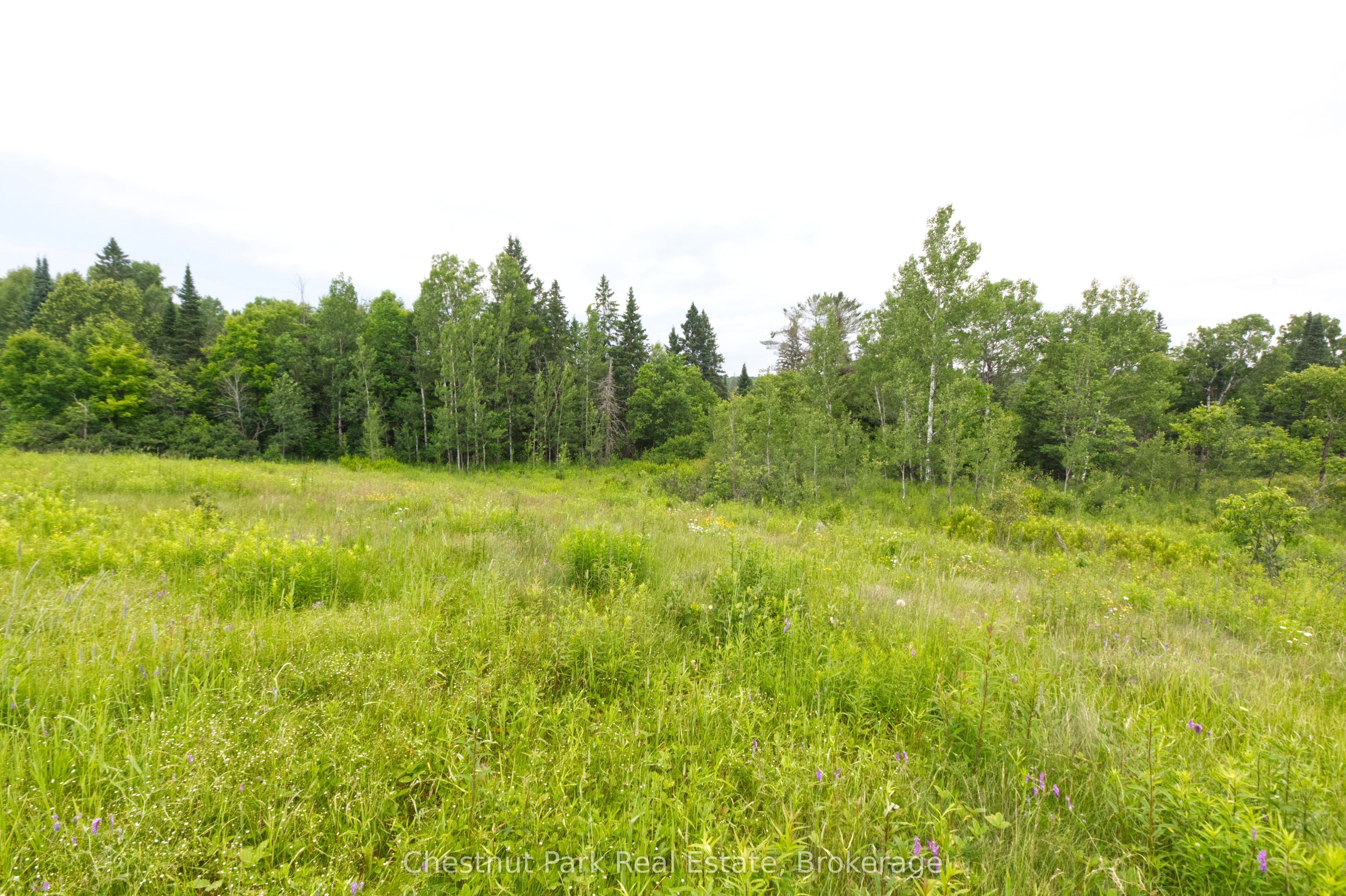 Lot 78 141 Highway, Seguin, ON P0C 1J0 photo 2