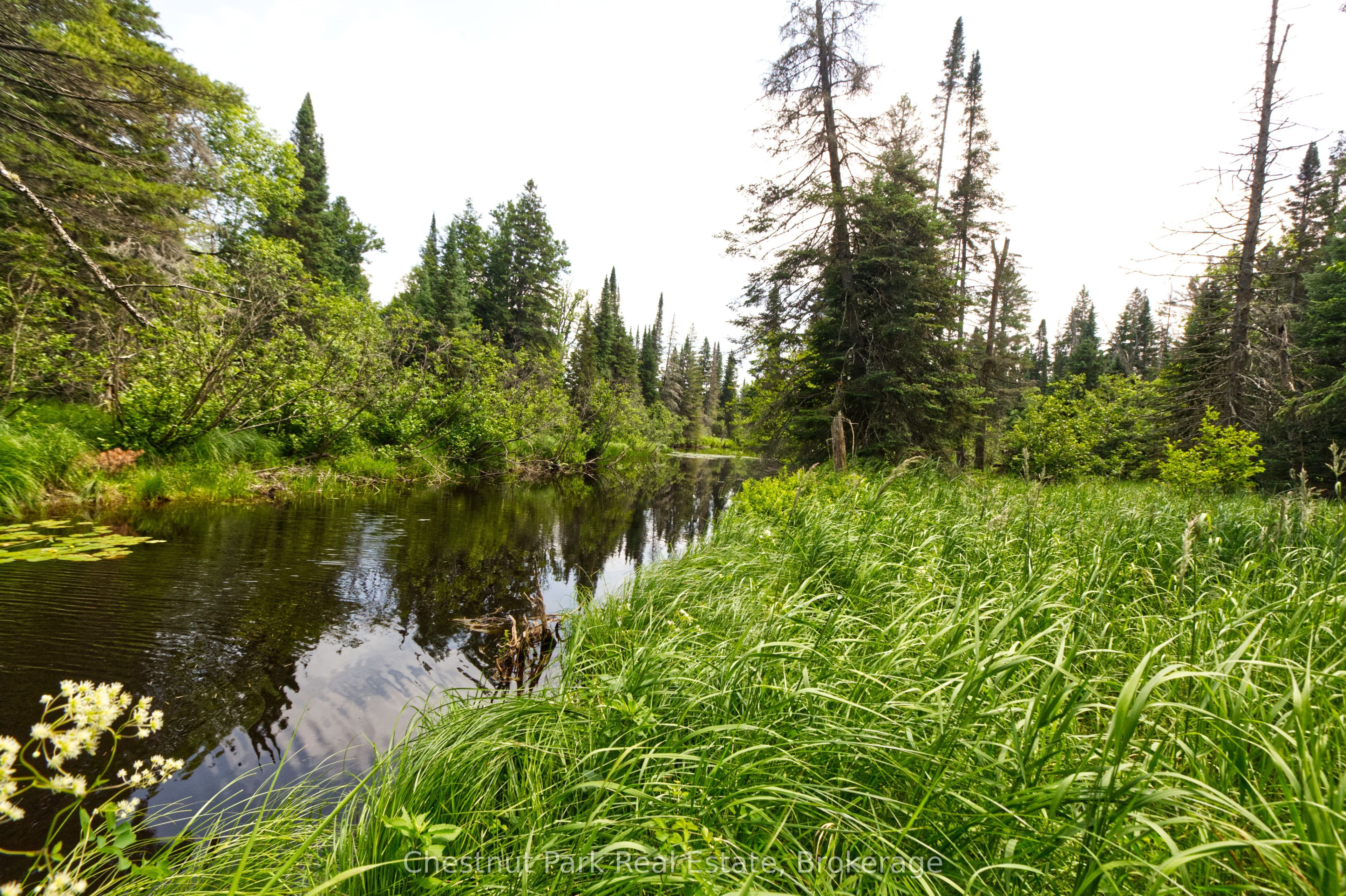 Lot 78 141 Highway, Seguin, ON P0C 1J0 photo 4
