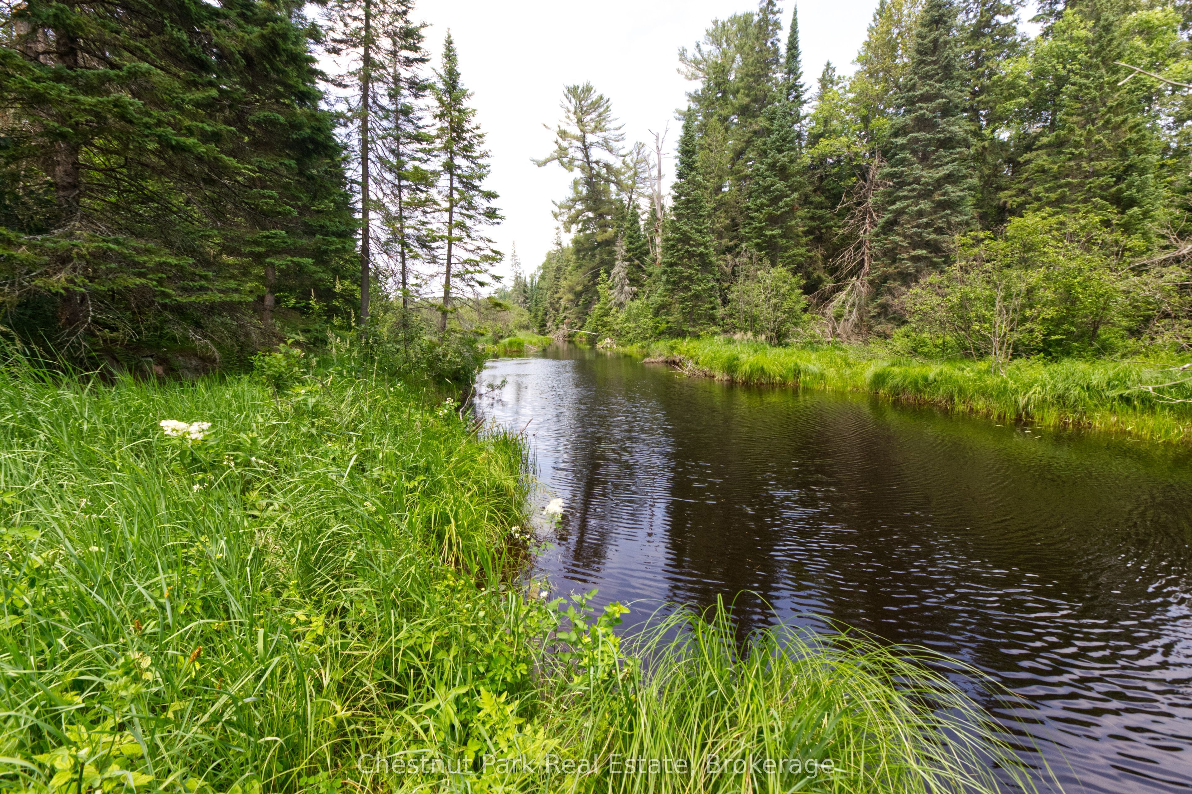 Lot 78 141 Highway, Seguin, ON P0C 1J0 photo 5