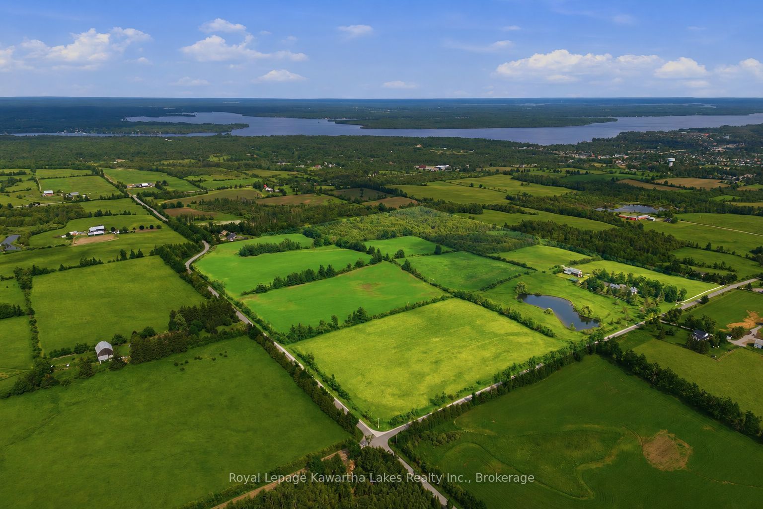136 Oliver's Road, Kawartha Lakes, ON K0M 1A0 photo 3