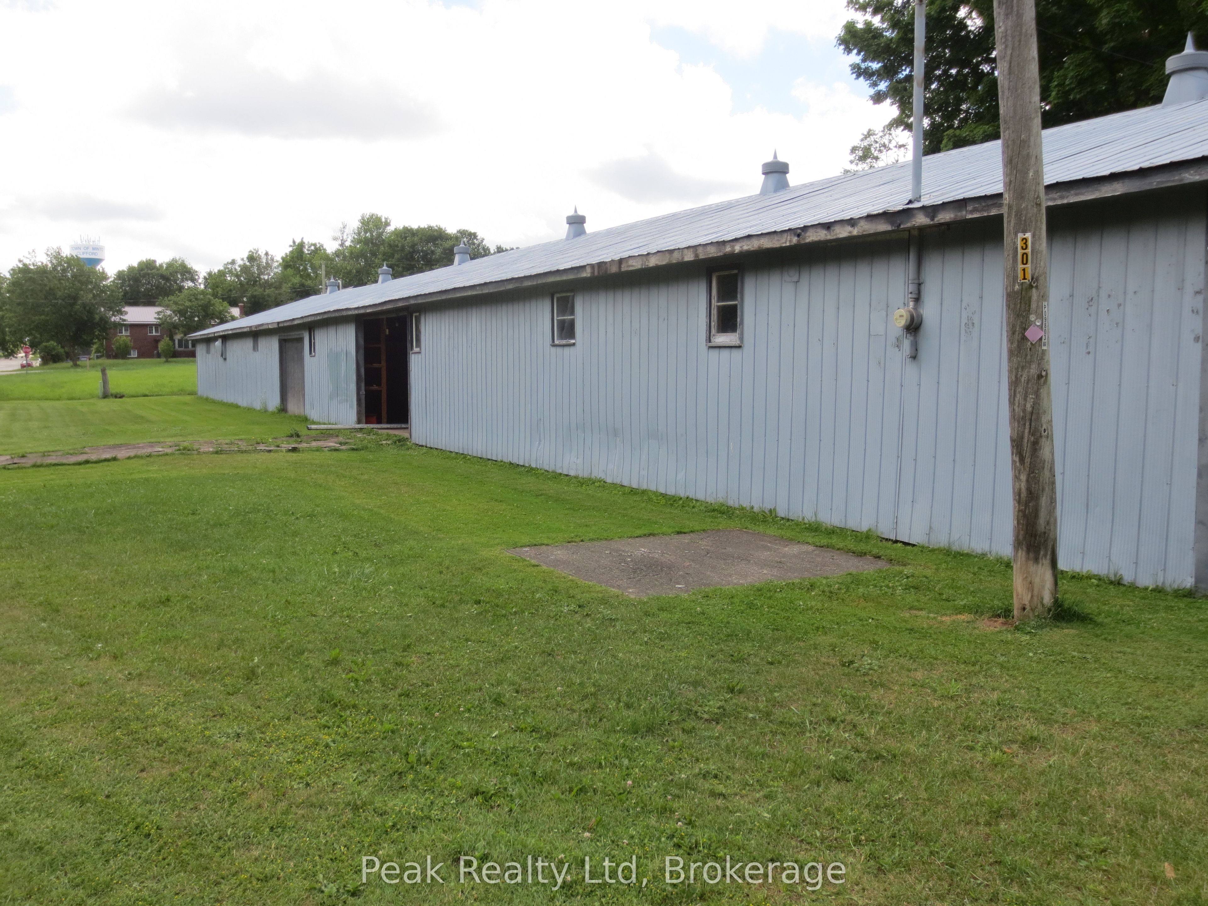 26 Brown Street S, Minto, ON N0G 1M0 photo 3