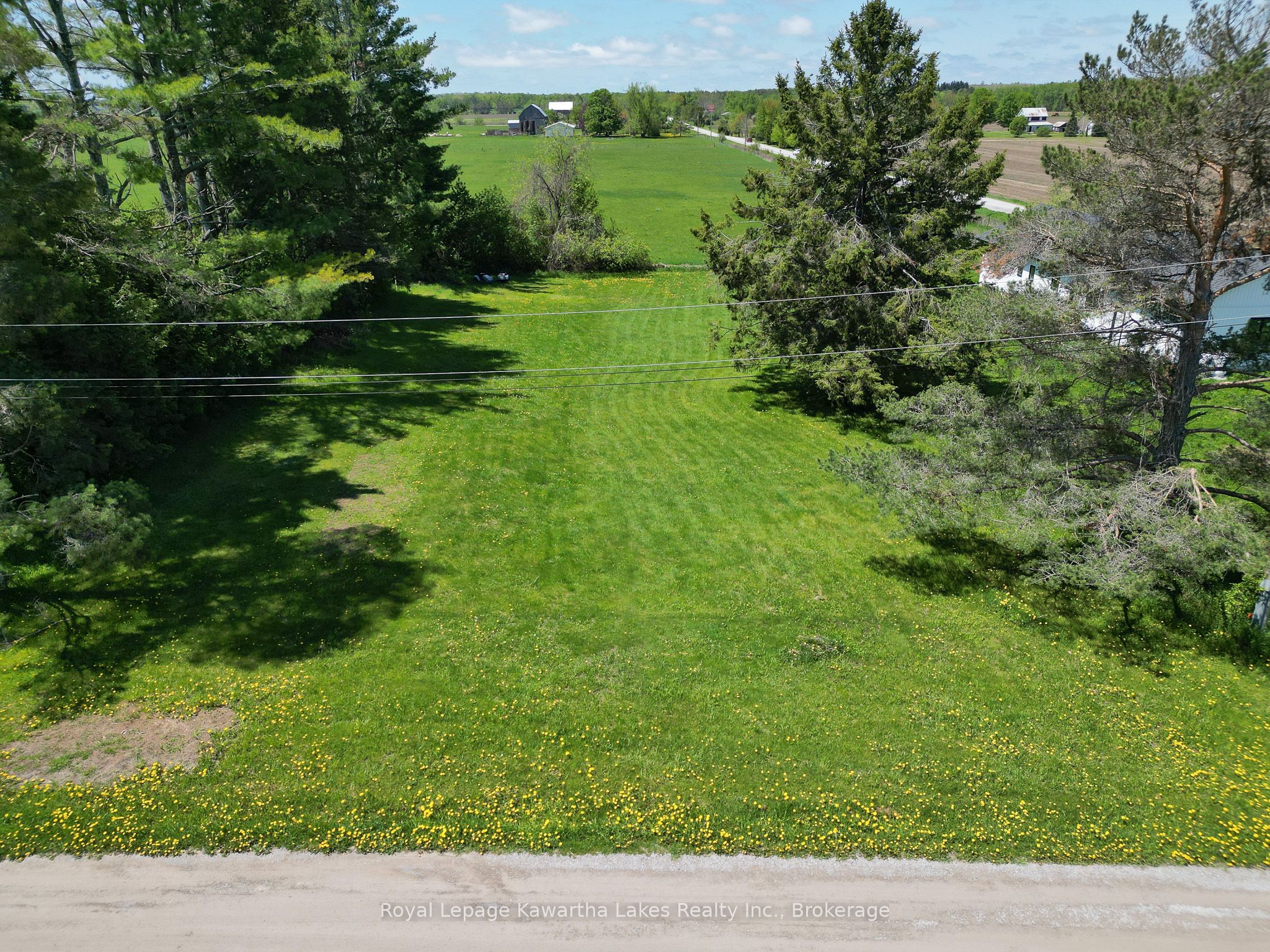 8 Fulsom Crescent, Kawartha Lakes, ON L3V 0H5 photo 3