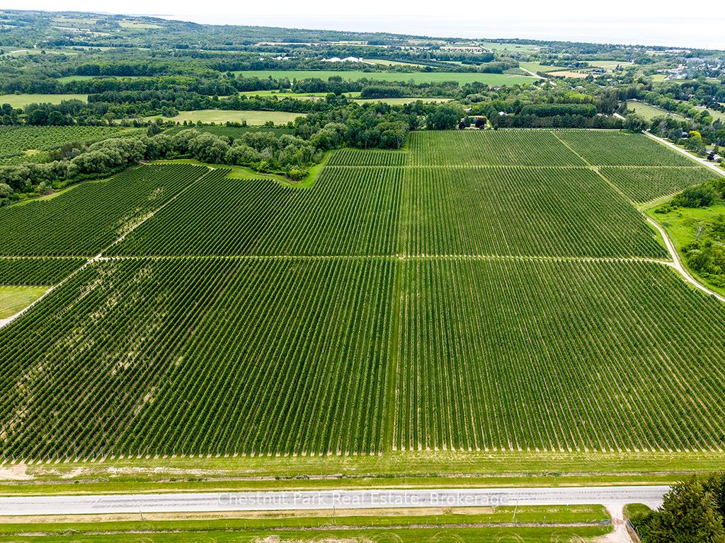 PT LT 31 Sideroad 30, Blue Mountains, ON N0H 2P0 photo 3