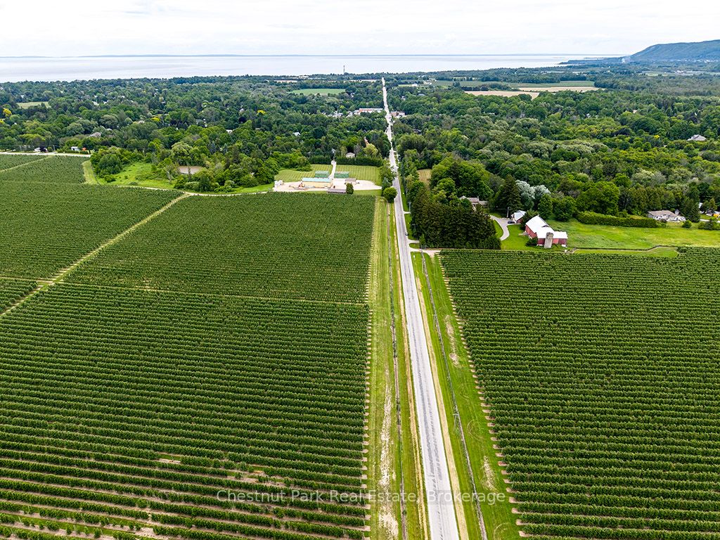 PT LT 31 Sideroad 30, Blue Mountains, ON N0H 2P0 photo 4