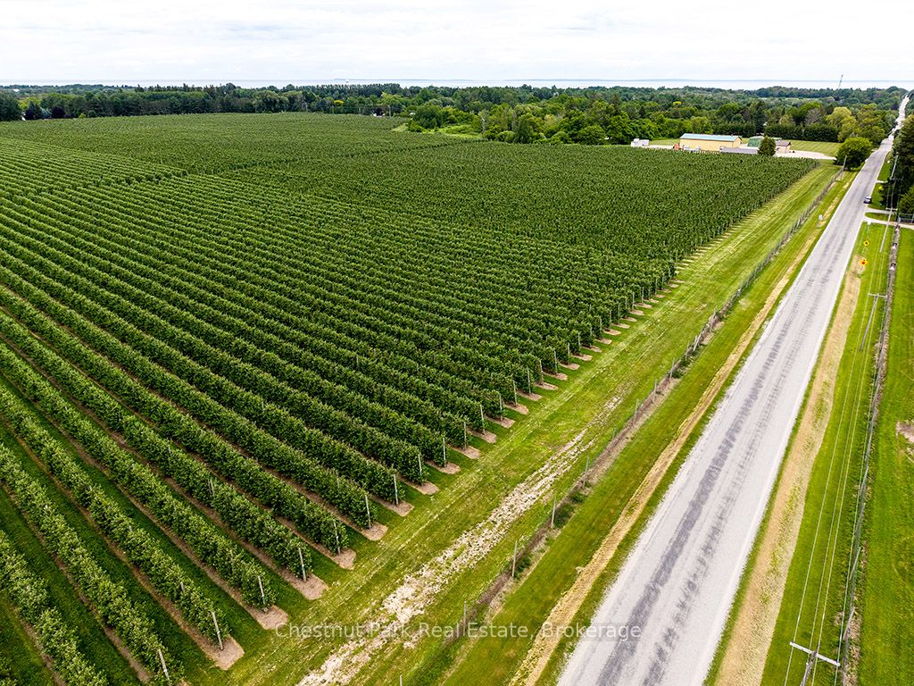 PT LT 31 Sideroad 30, Blue Mountains, ON N0H 2P0 photo 5