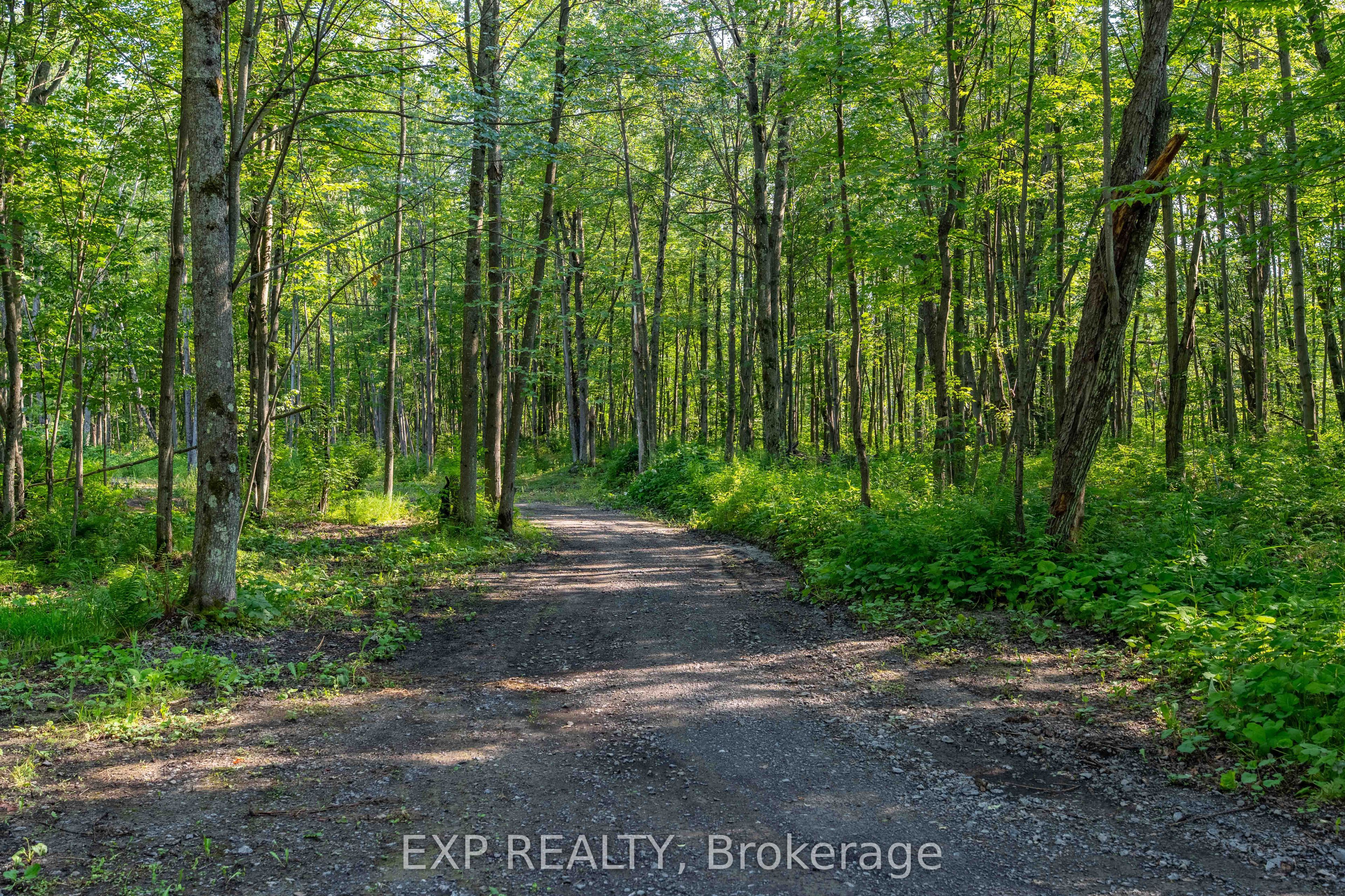Lot 20 CONCESSION 4 Road, Alfred and Plantagenet, ON K0B 1L0 photo 4