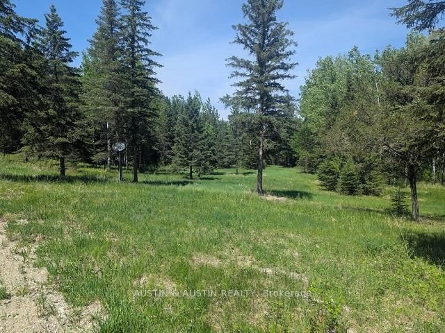 0 Nicoll Road, Brighton Twp., Kenora Remote Area, ON P8N 2Y5 photo 4