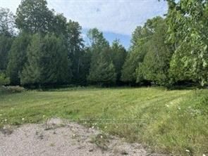 12990 #7 Highway, Lanark Highlands, ON K7C 3P1 photo 3