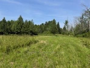 12990 #7 Highway, Lanark Highlands, ON K7C 3P1 photo 4