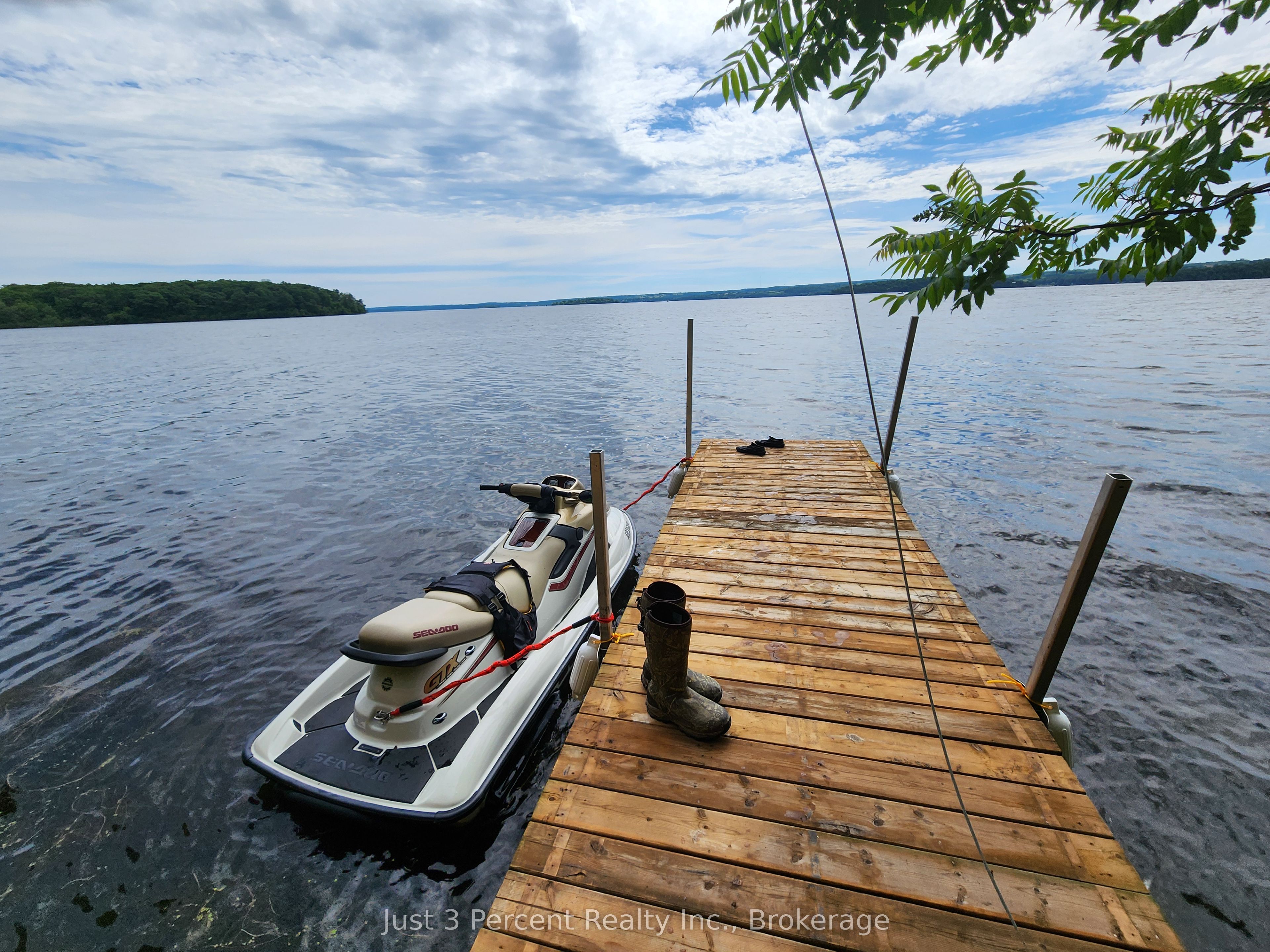 100 Cow Island, Otonabee-South Monaghan, ON K0B 1B0 photo 3