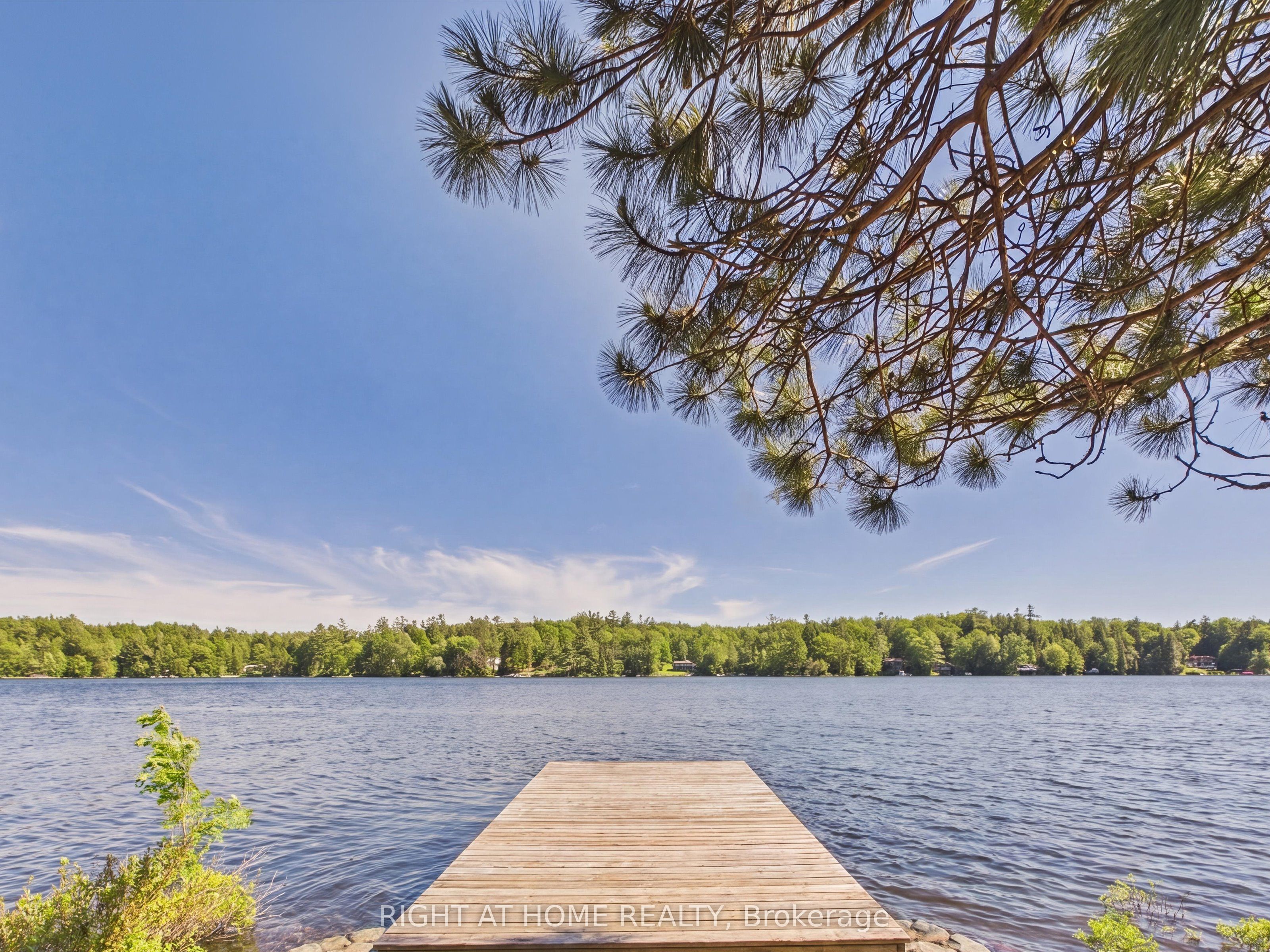 1527 Moon River Road, Muskoka Lakes, ON P0C 1H0 photo 4