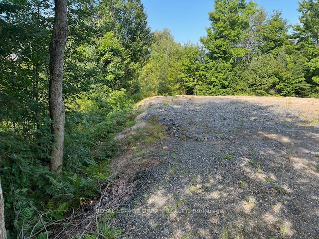 836 Rye Road, South River, ON P0A 1Z0 photo 3