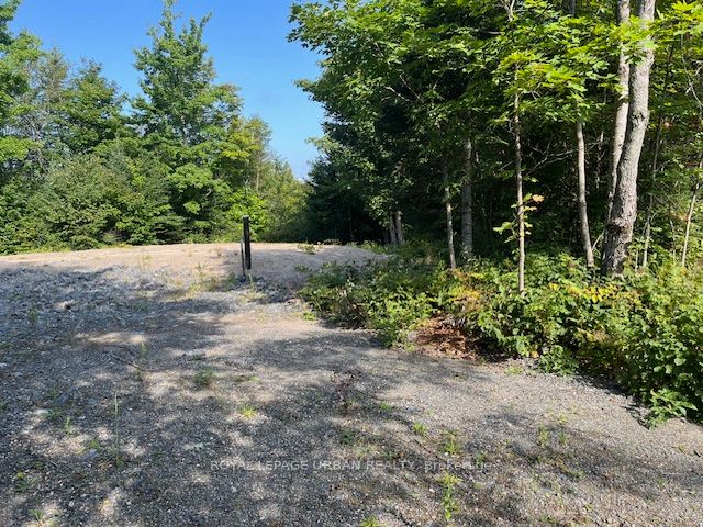 836 Rye Road, South River, ON P0A 1Z0 photo 5