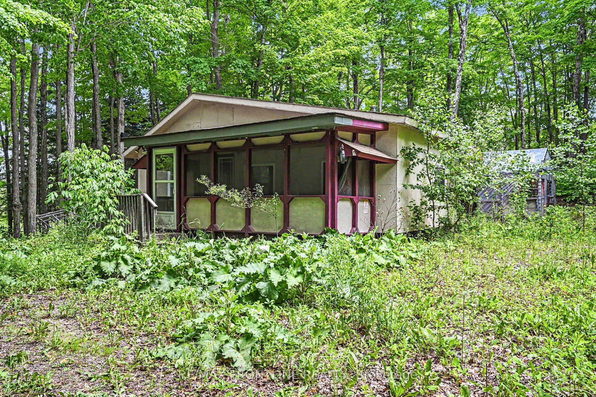 634 Concession 5A Dalhousie, Lanark Highlands, ON K0G 1K0 photo 2