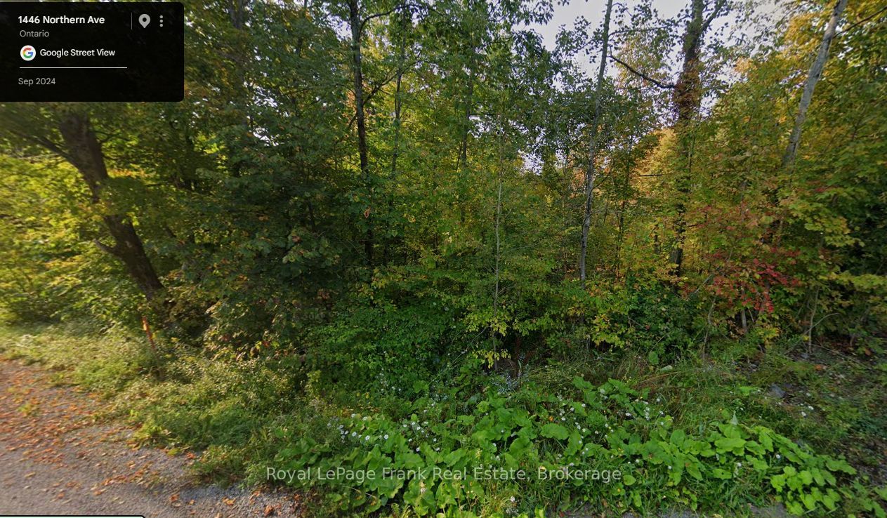 0 Northern Avenue, Trent Lakes, ON K0L 1J0