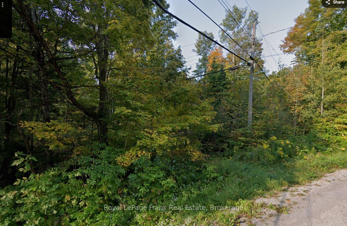 0 Northern Avenue, Trent Lakes, ON K0L 1J0 photo 3