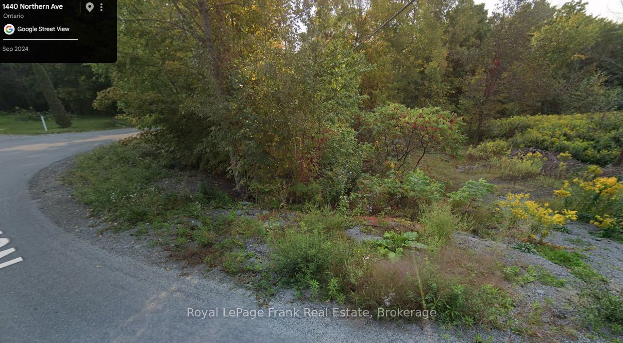 0 Northern Avenue, Trent Lakes, ON K0L 1J0 photo 4