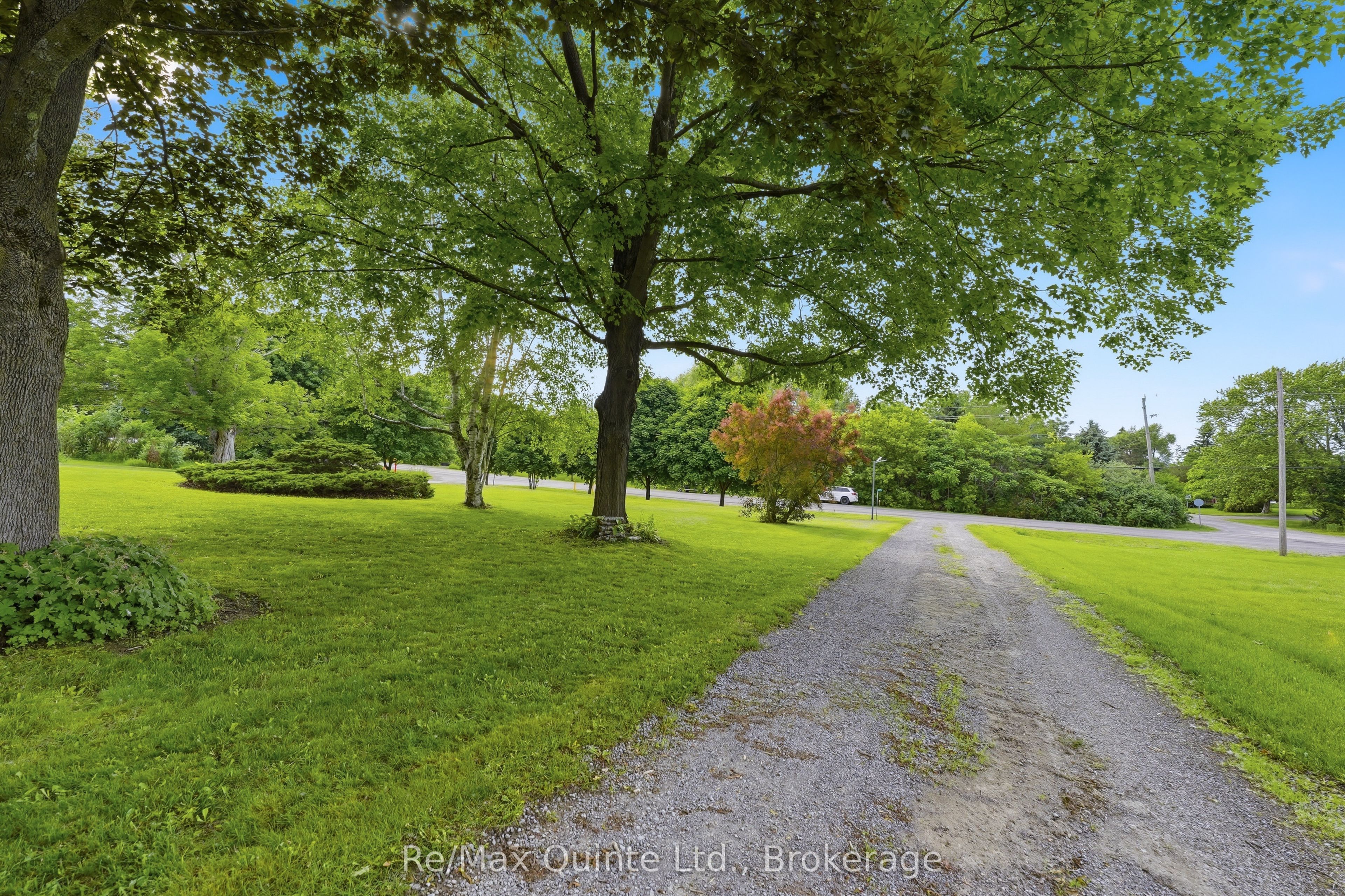 97C County Road 18 N/A, Prince Edward County, ON K0K 1P0 photo 3