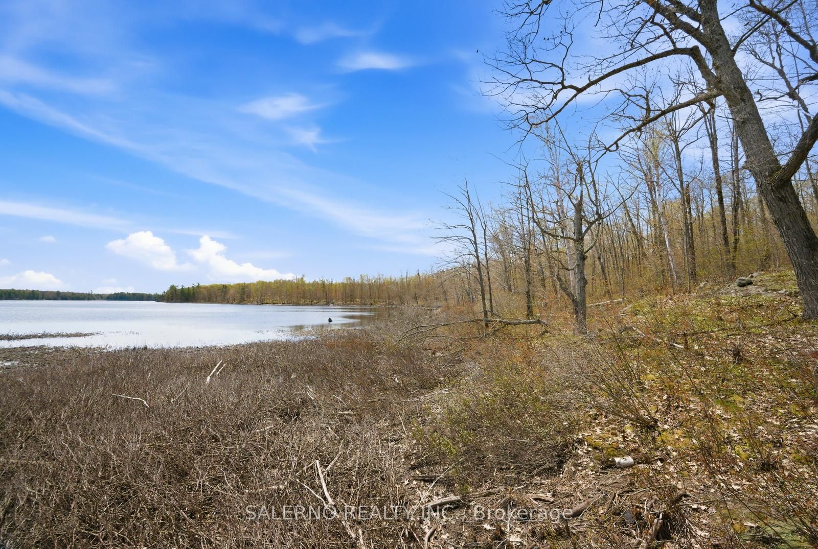 Lot 2 Cassidy Lake, Muskoka Lakes, ON P0C 1H0 photo 3