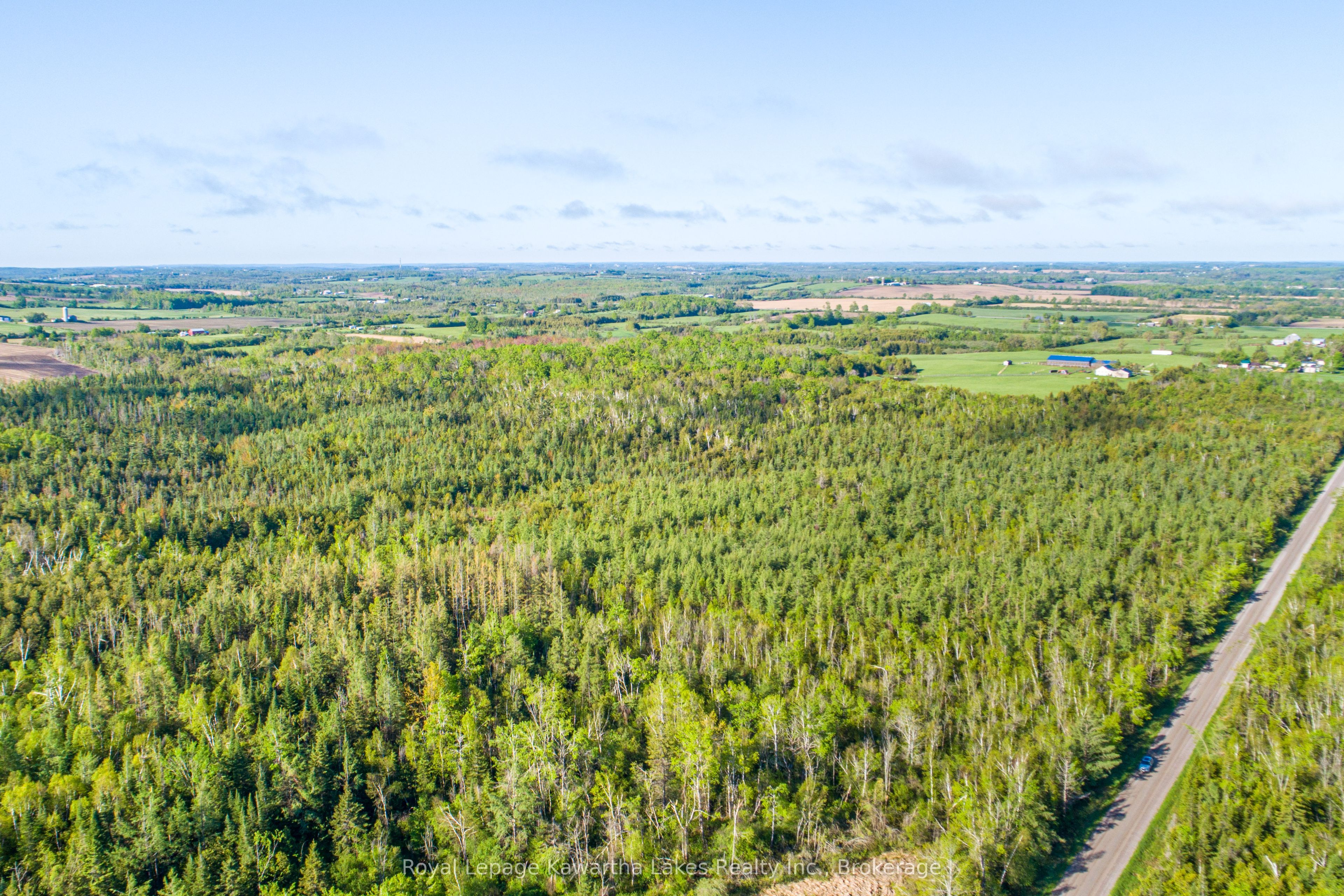 Lot 3 Black School Road, Kawartha Lakes, ON K0M 2C0 photo 3