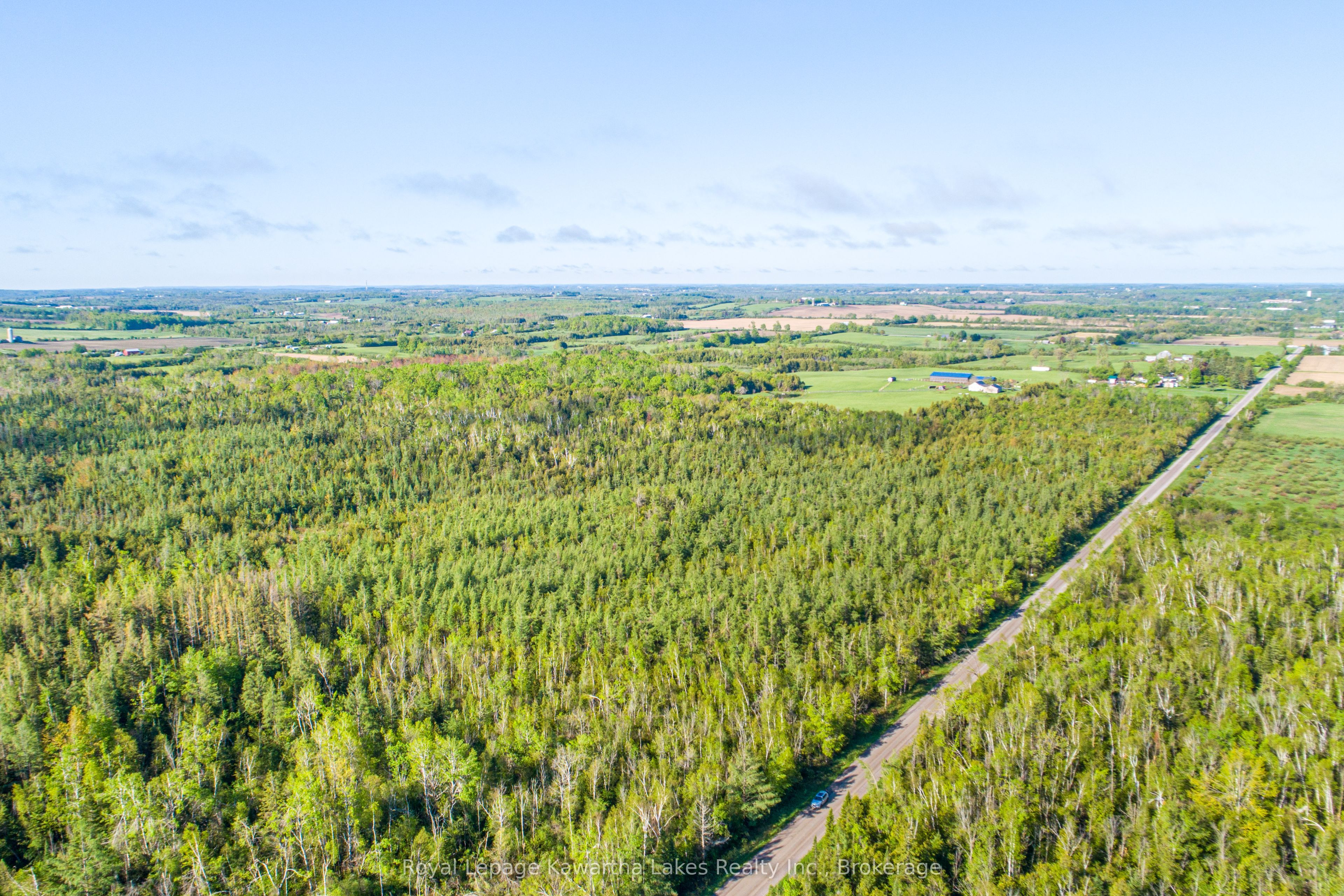 Lot 3 Black School Road, Kawartha Lakes, ON K0M 2C0 photo 4