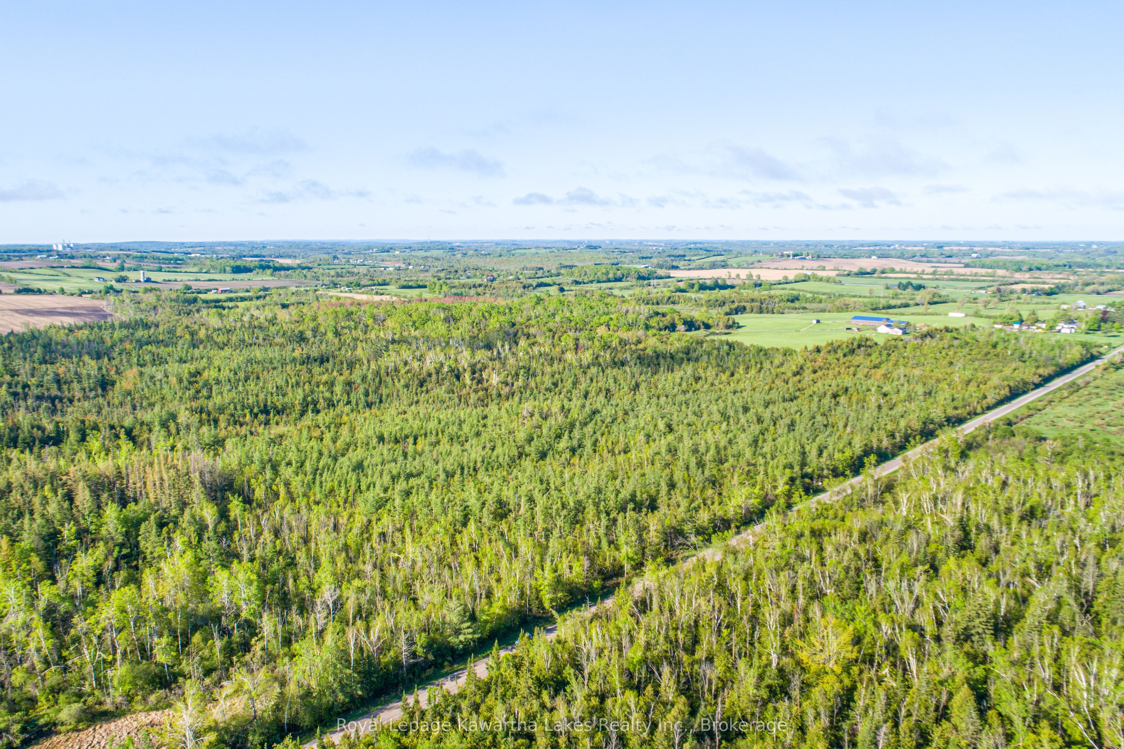 Lot 3 Black School Road, Kawartha Lakes, ON K0M 2C0 photo 5