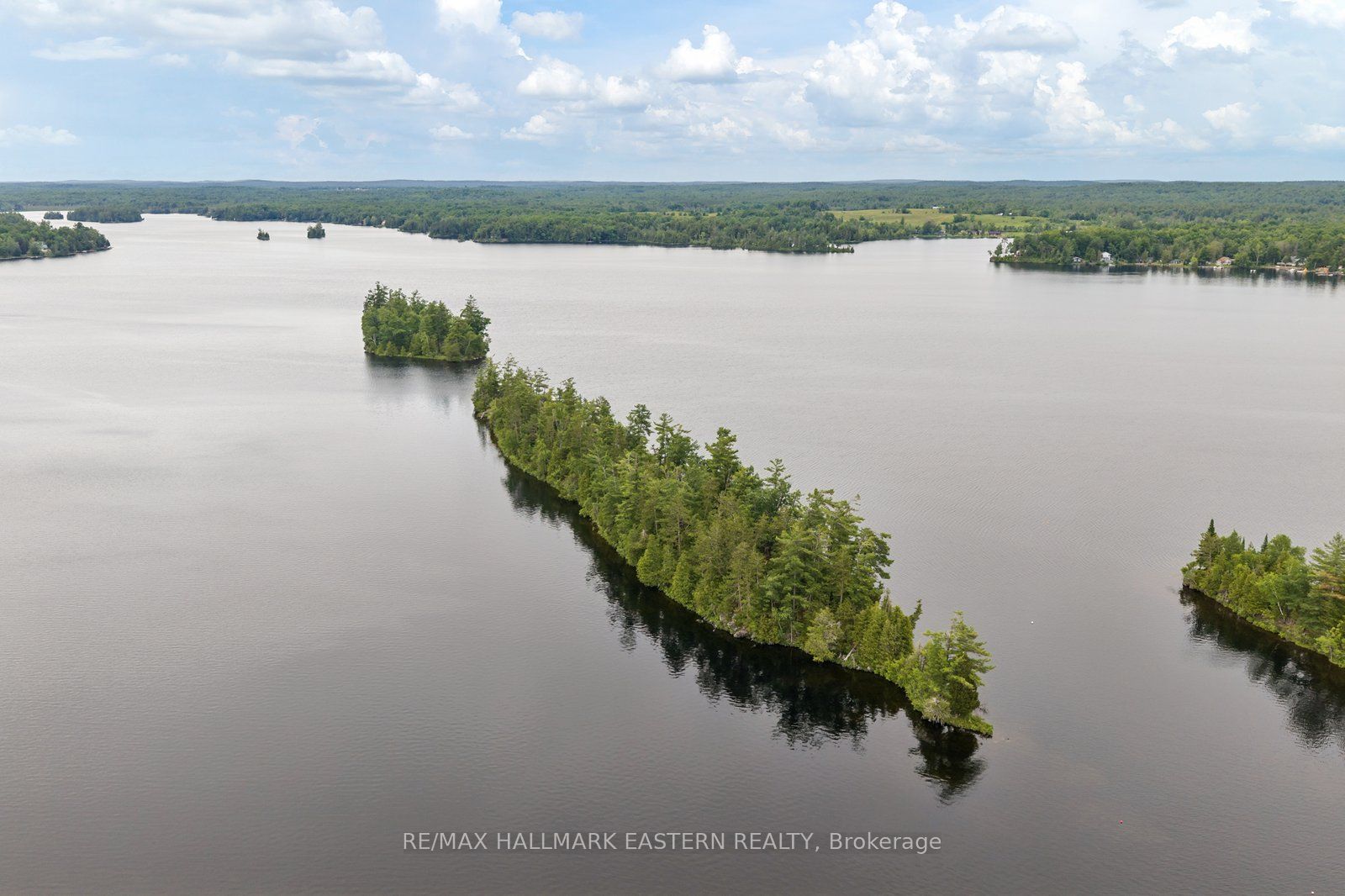 281 STRING Island S, Havelock-Belmont-Methuen, ON K0L 1Z0 photo 2