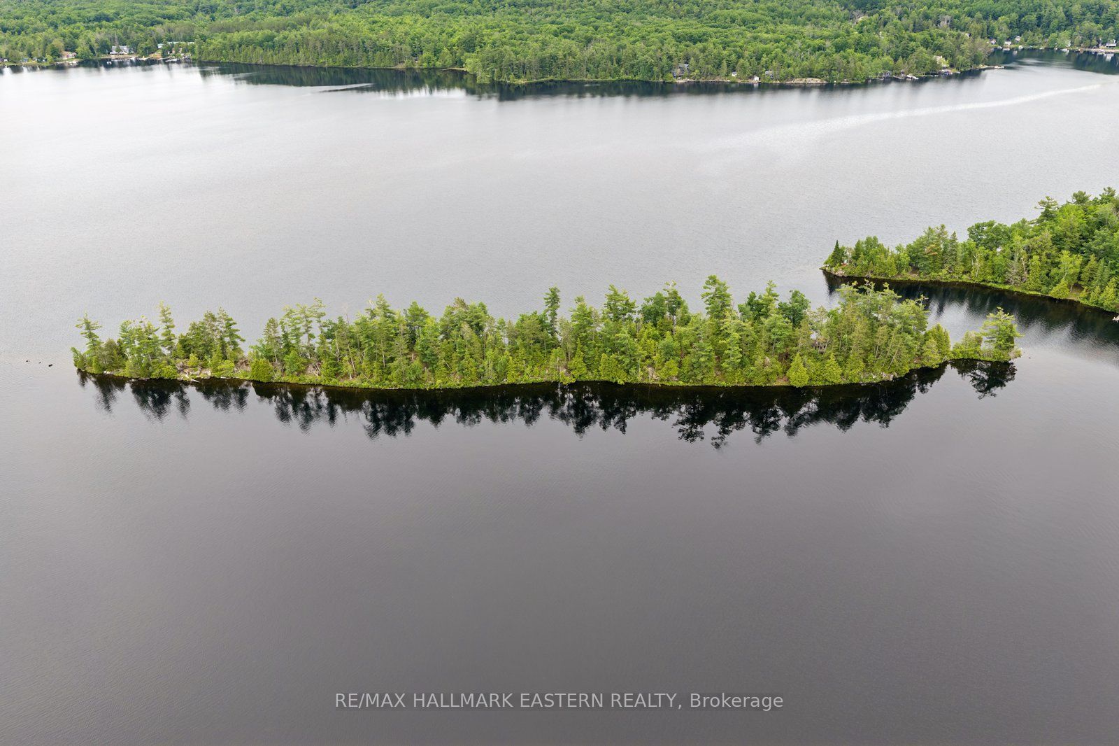 281 STRING Island S, Havelock-Belmont-Methuen, ON K0L 1Z0 photo 3