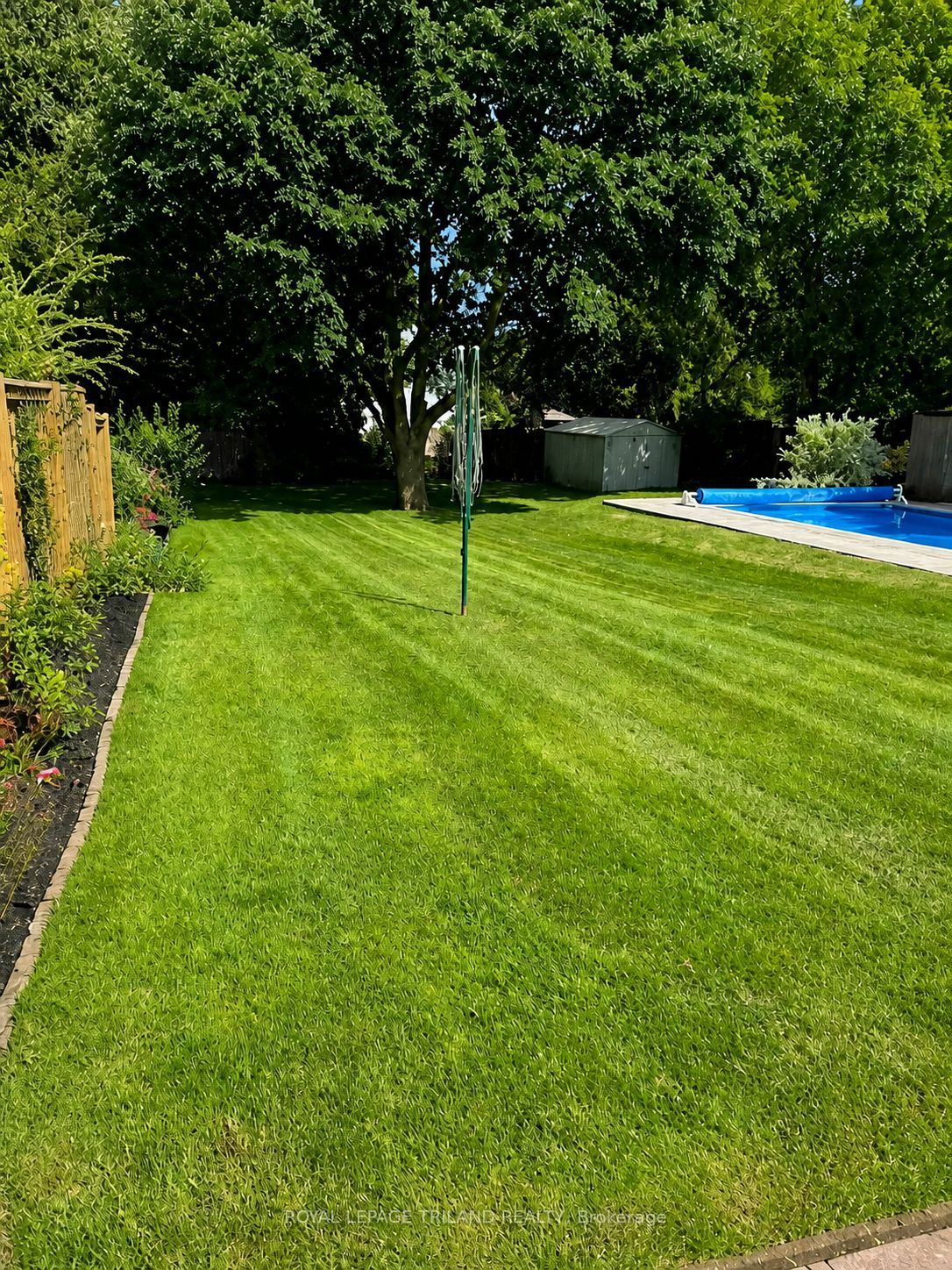 374 GRIFFITH Street, London South, ON N6K 2S2 photo 5